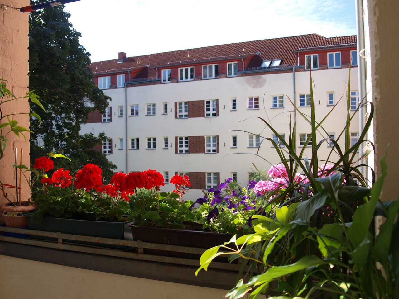 Sunny apartment in Ost 2, Berlin