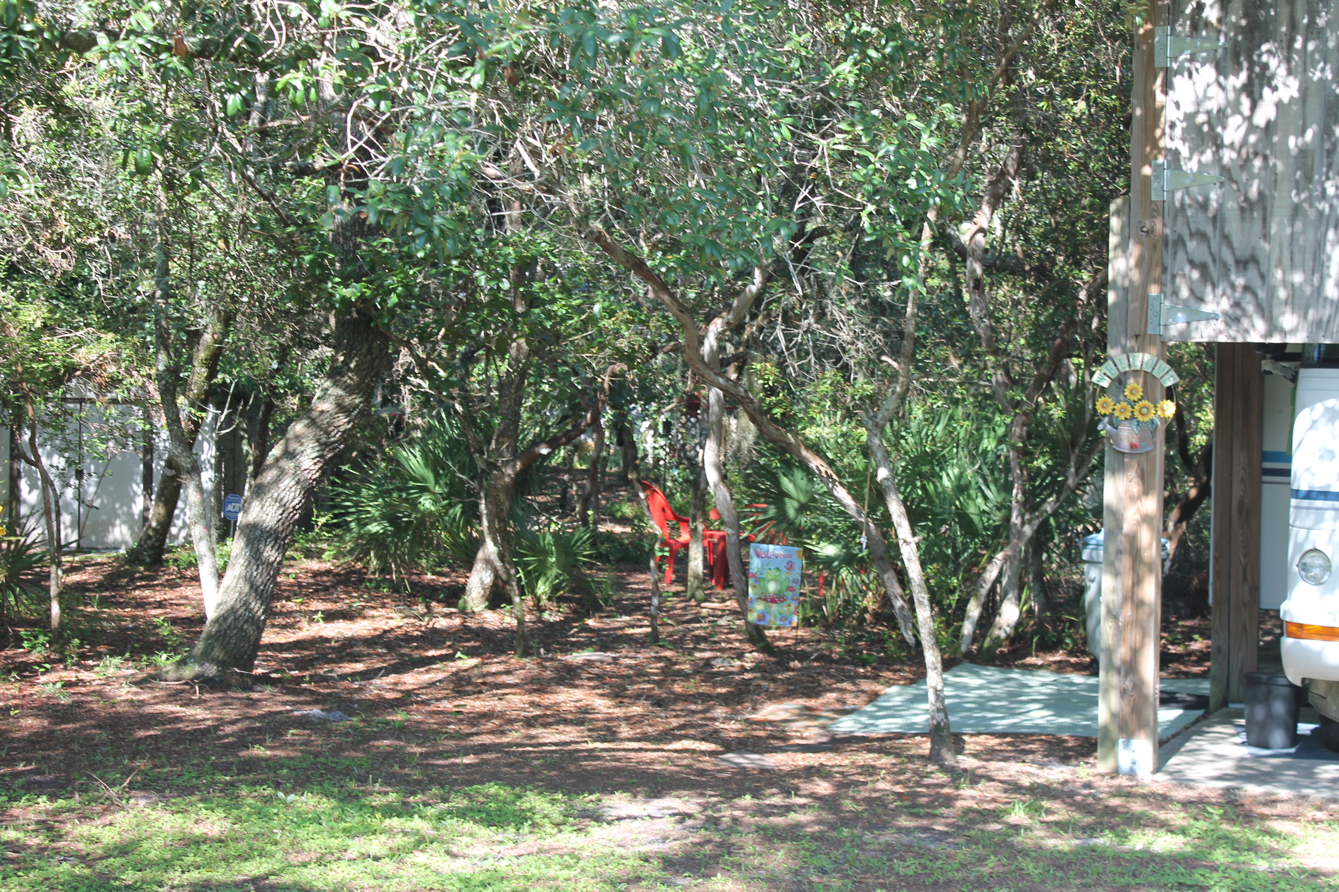 Secluded, woodland retreat with plenty of privacy