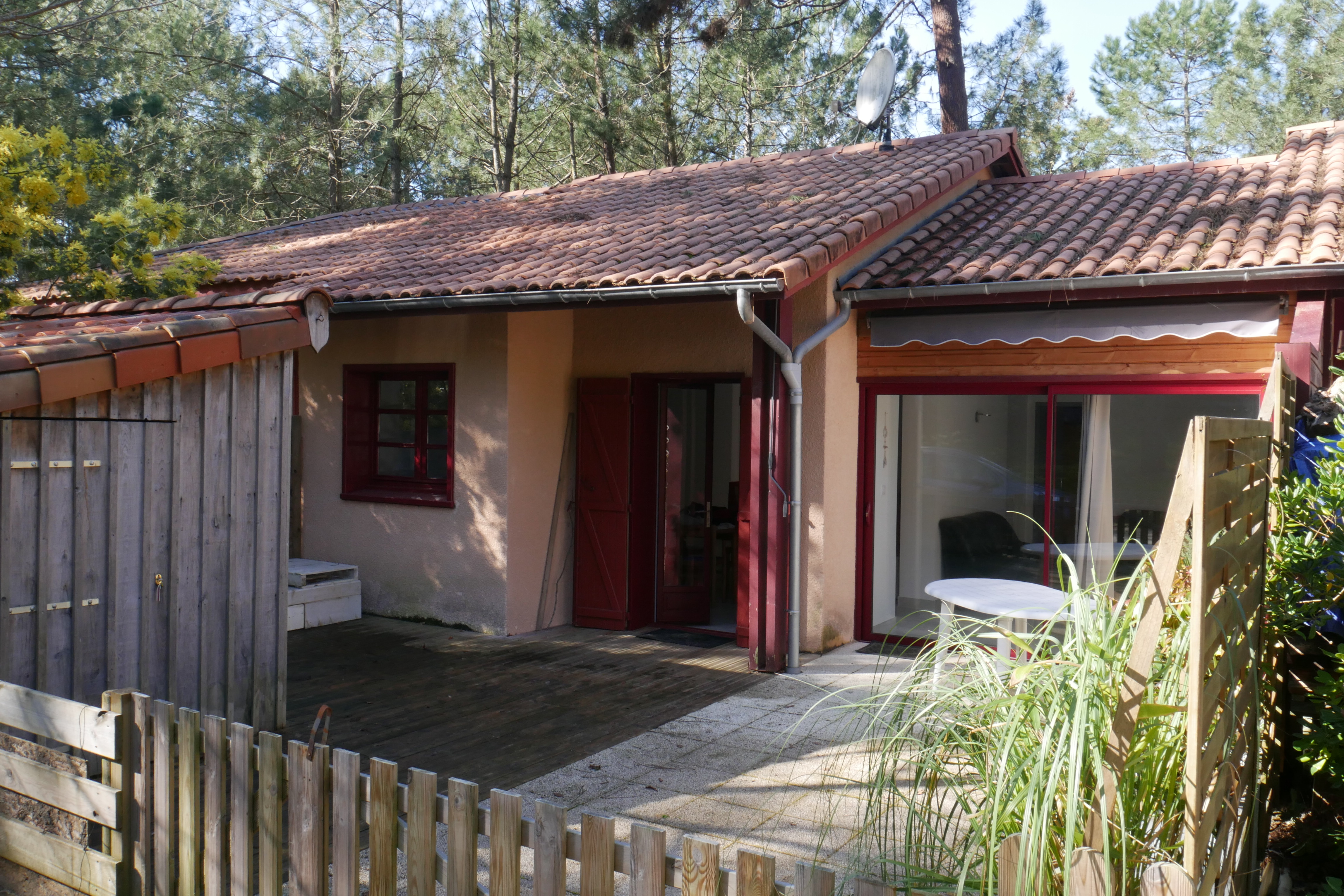 Residence under the pine trees