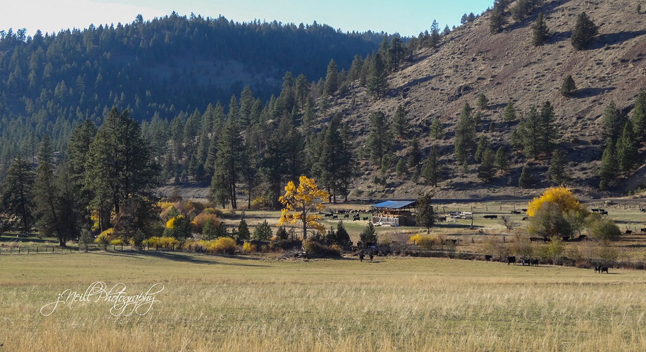 Authentic, cozy Bunkhouse at Wine Down Ranch Farm stays for Rent in Prineville, Oregon, United