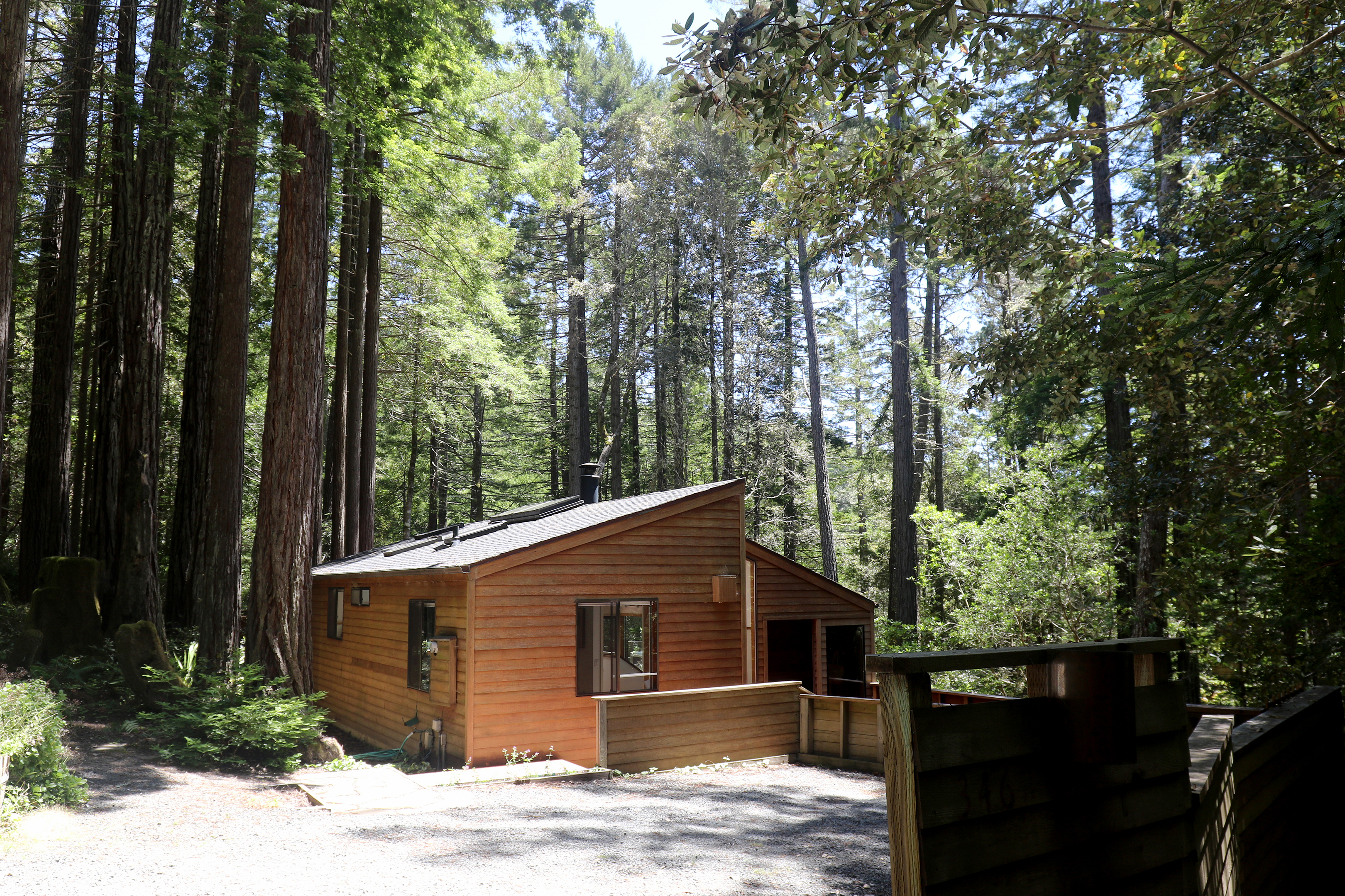 Private, dog friendly 3 bedroom bright wooded home