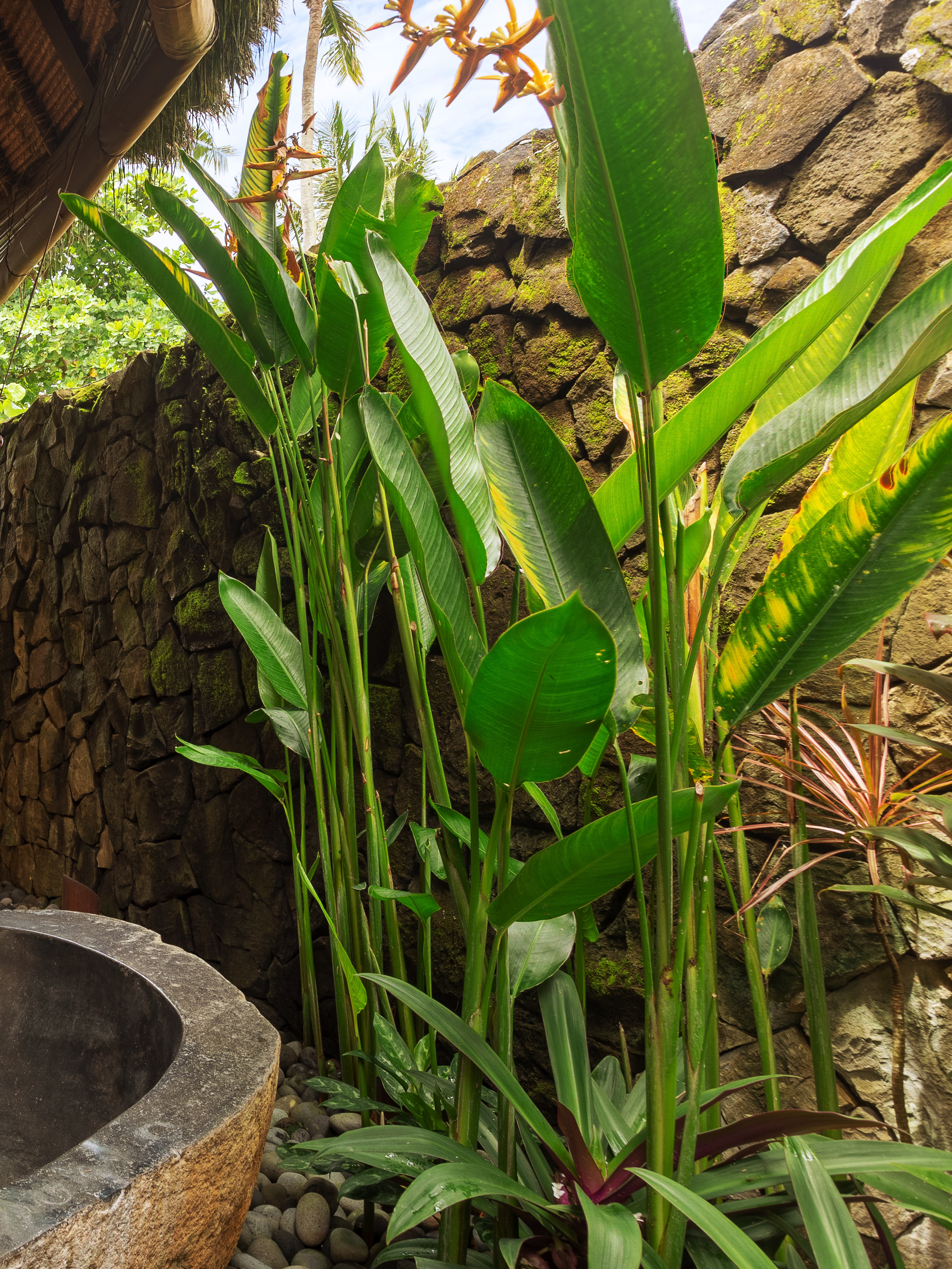 Taman Ahimsa Villas For Rent In Seseh Tanah Lot Bali Indonesia