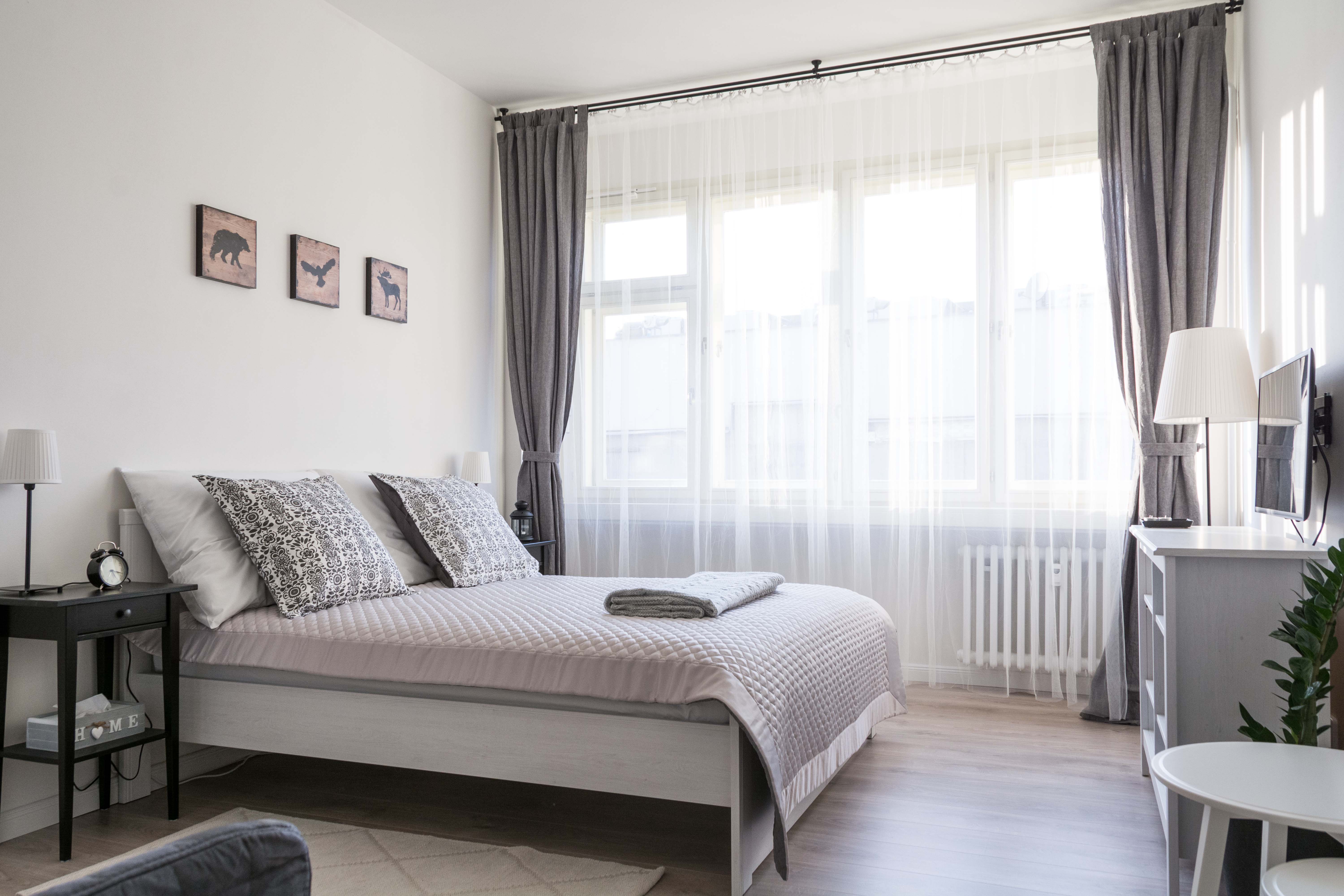 Bright and cozy apartment in the center of Prague