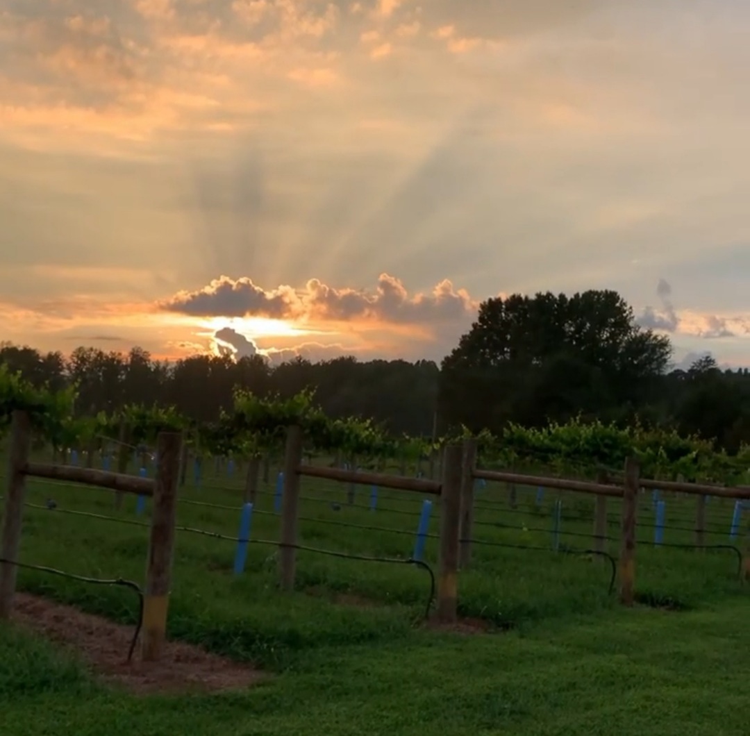 3 BR Home at Seven Springs Farm and Vineyard! Houses for Rent in