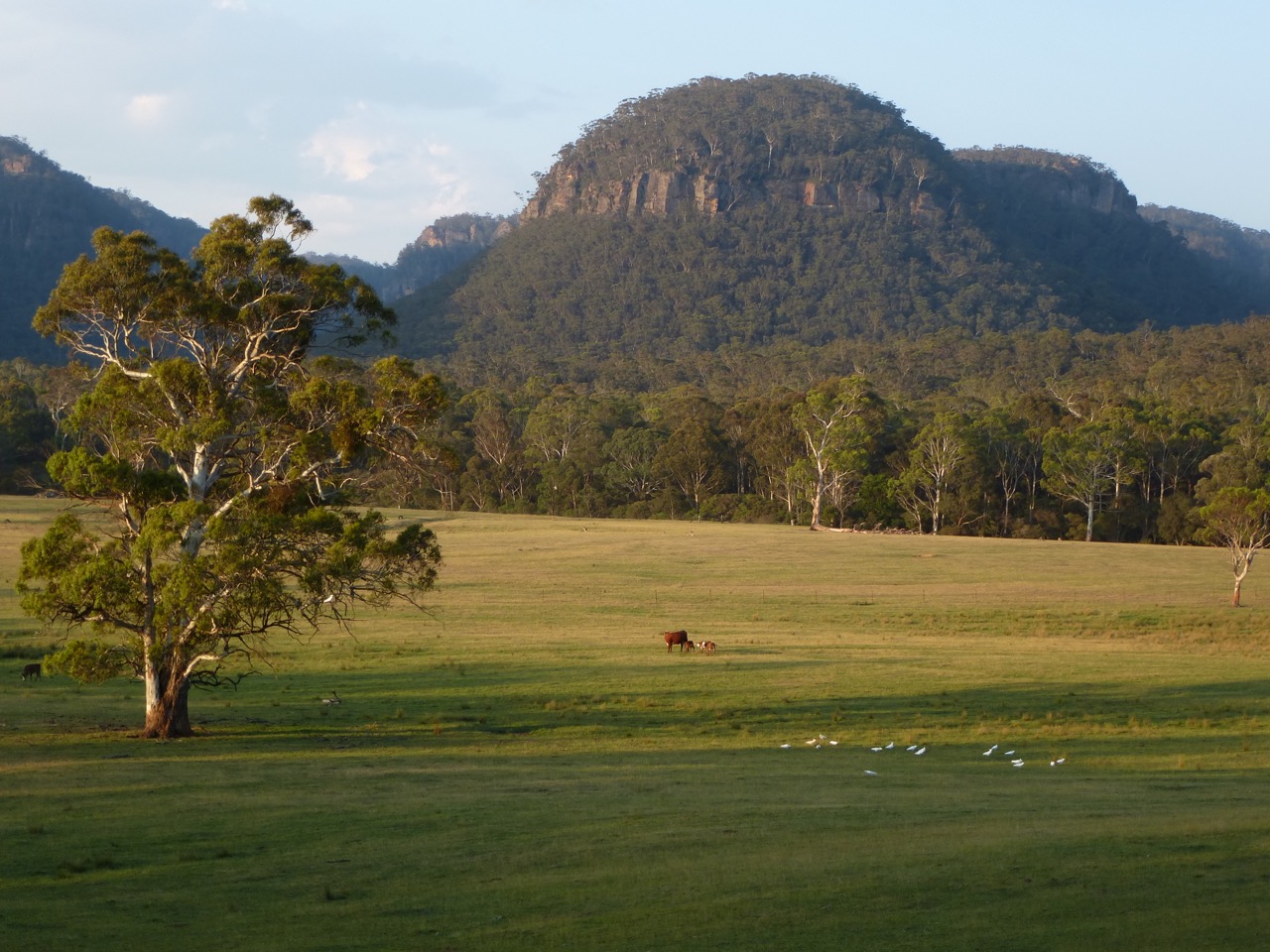 Hereford House of Hartley Vale Houses for Rent in Hartley Vale, New South Wales, Australia