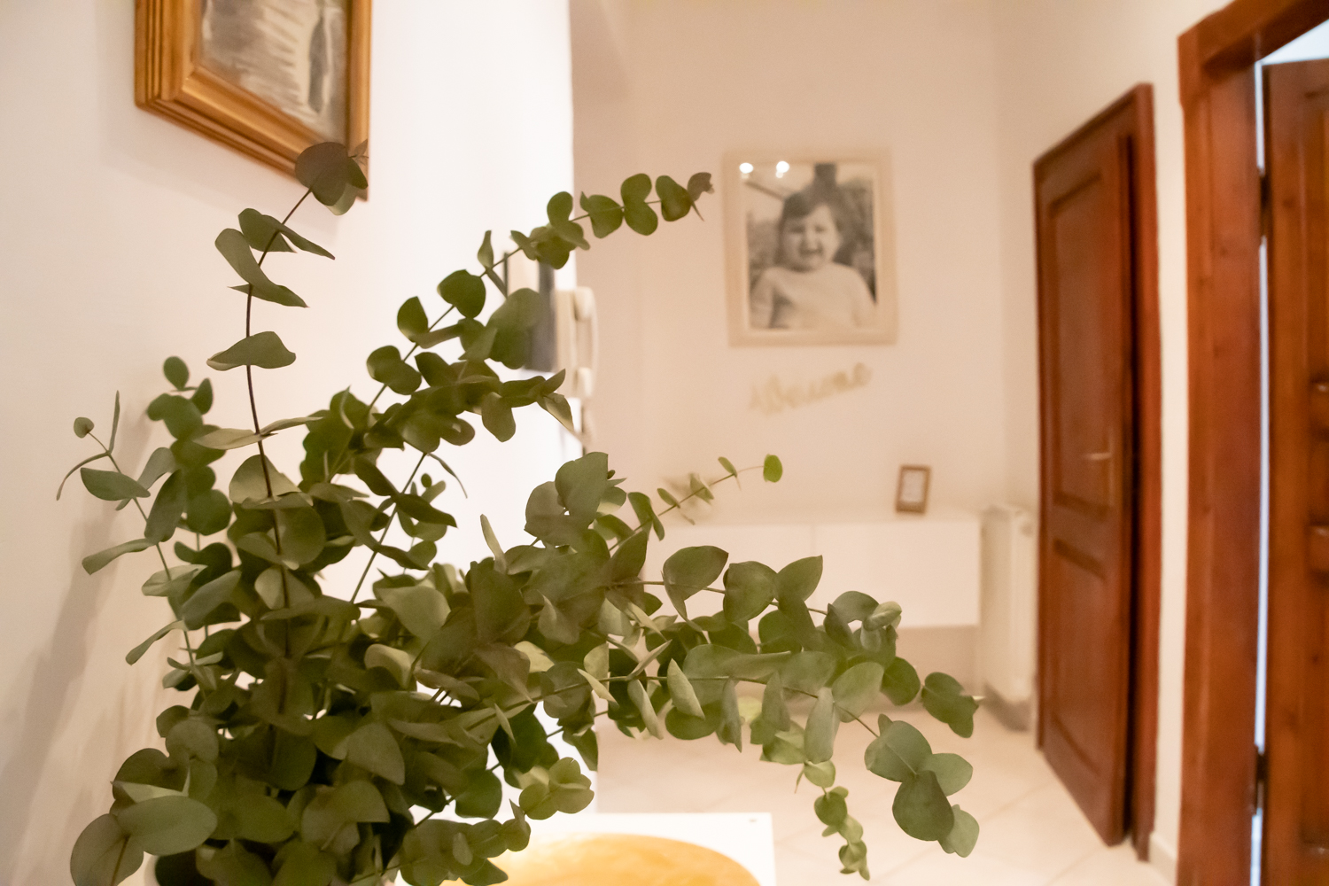 tourist accommodation in Civic No. 32