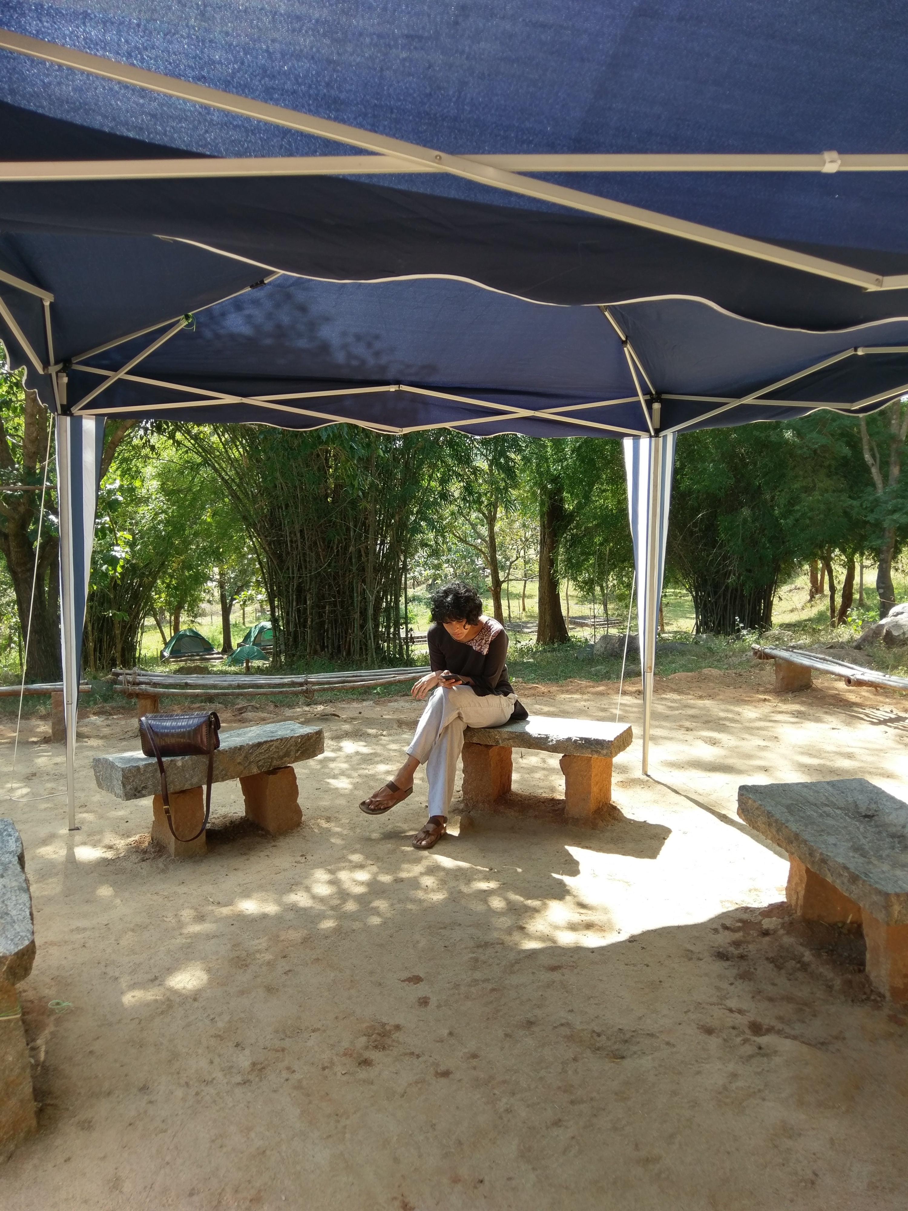Cicada Woods Tented Camping Centre 1 Cicada Woods Tented Camping Centre 1