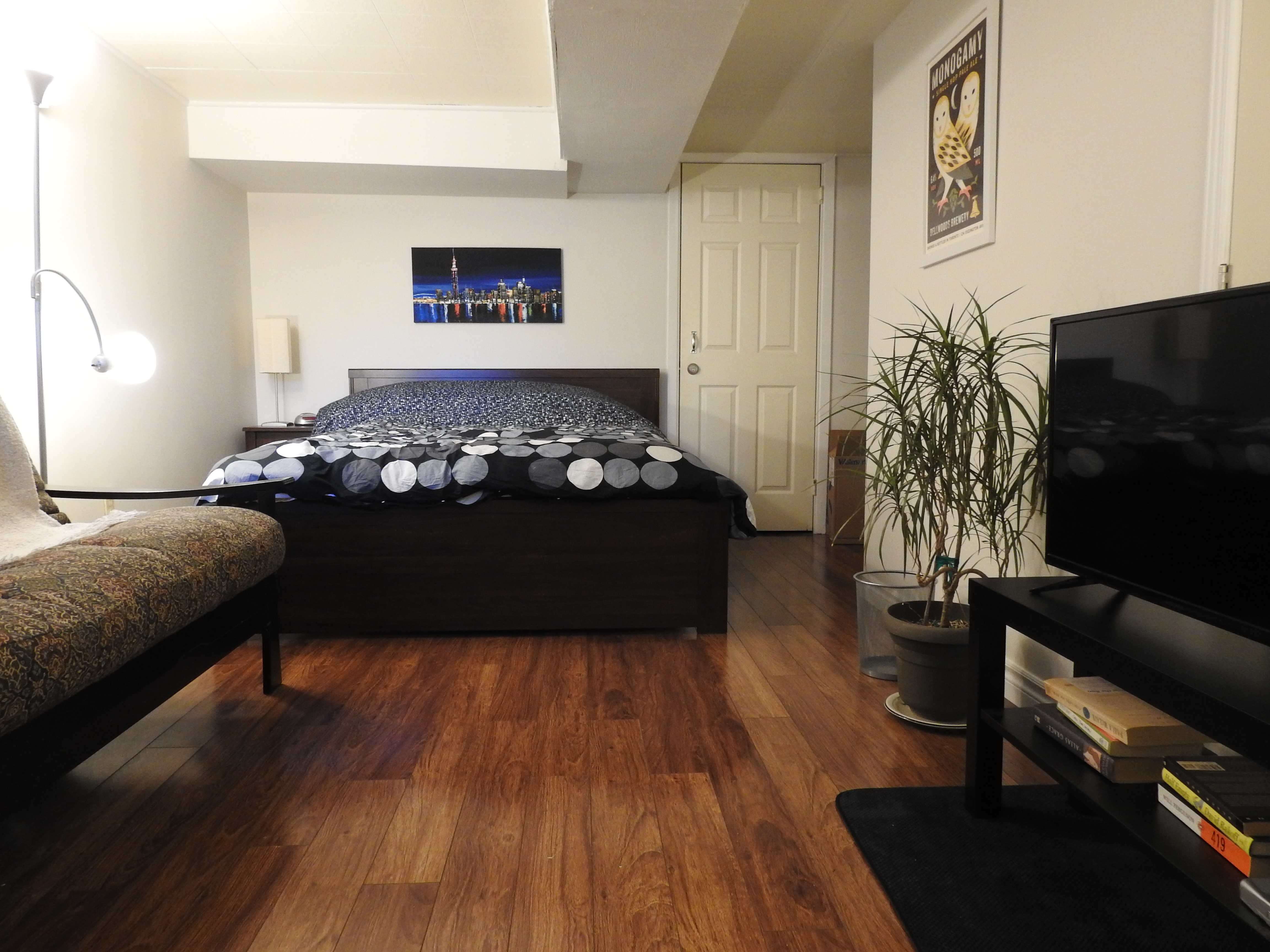 Private basement apartment in downtown Toronto