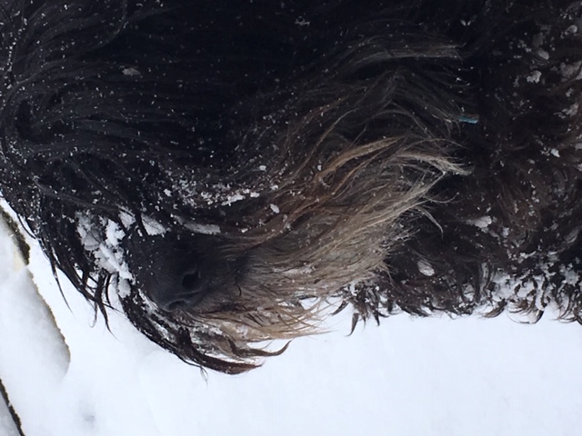 Yarmouth :PET  FRIENDLY, 1 Bedroom Apartment