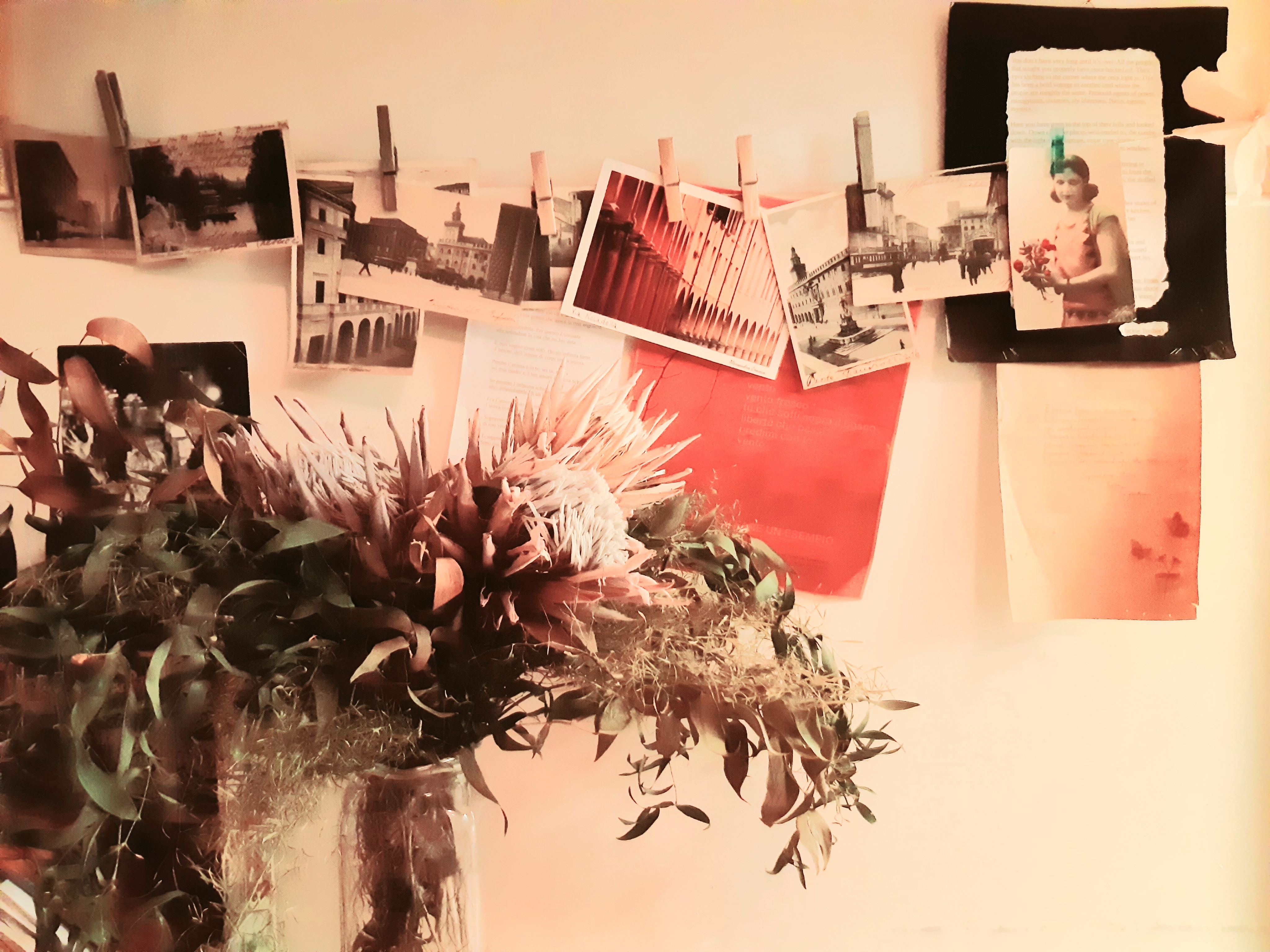A room in Pasolini's house 2 in Porto - Saragozza, Bologna