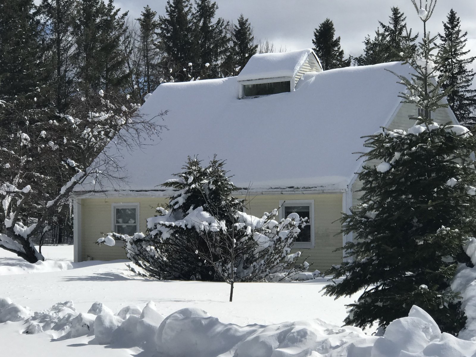 Cottage in East Warren Cabins for Rent in Warren, Vermont, United States