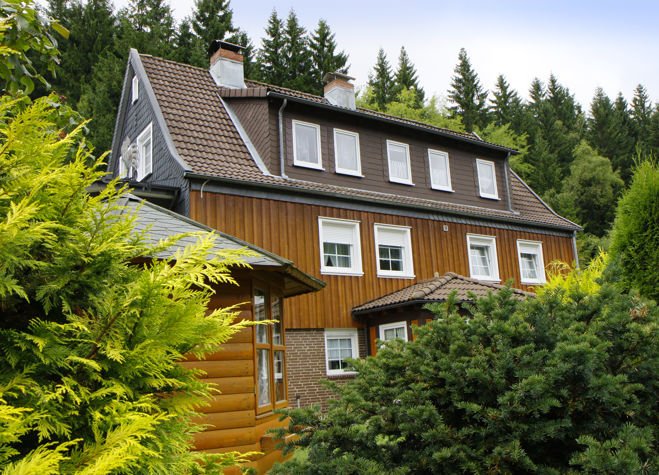 Spacious holiday apartment in Harz Altenau