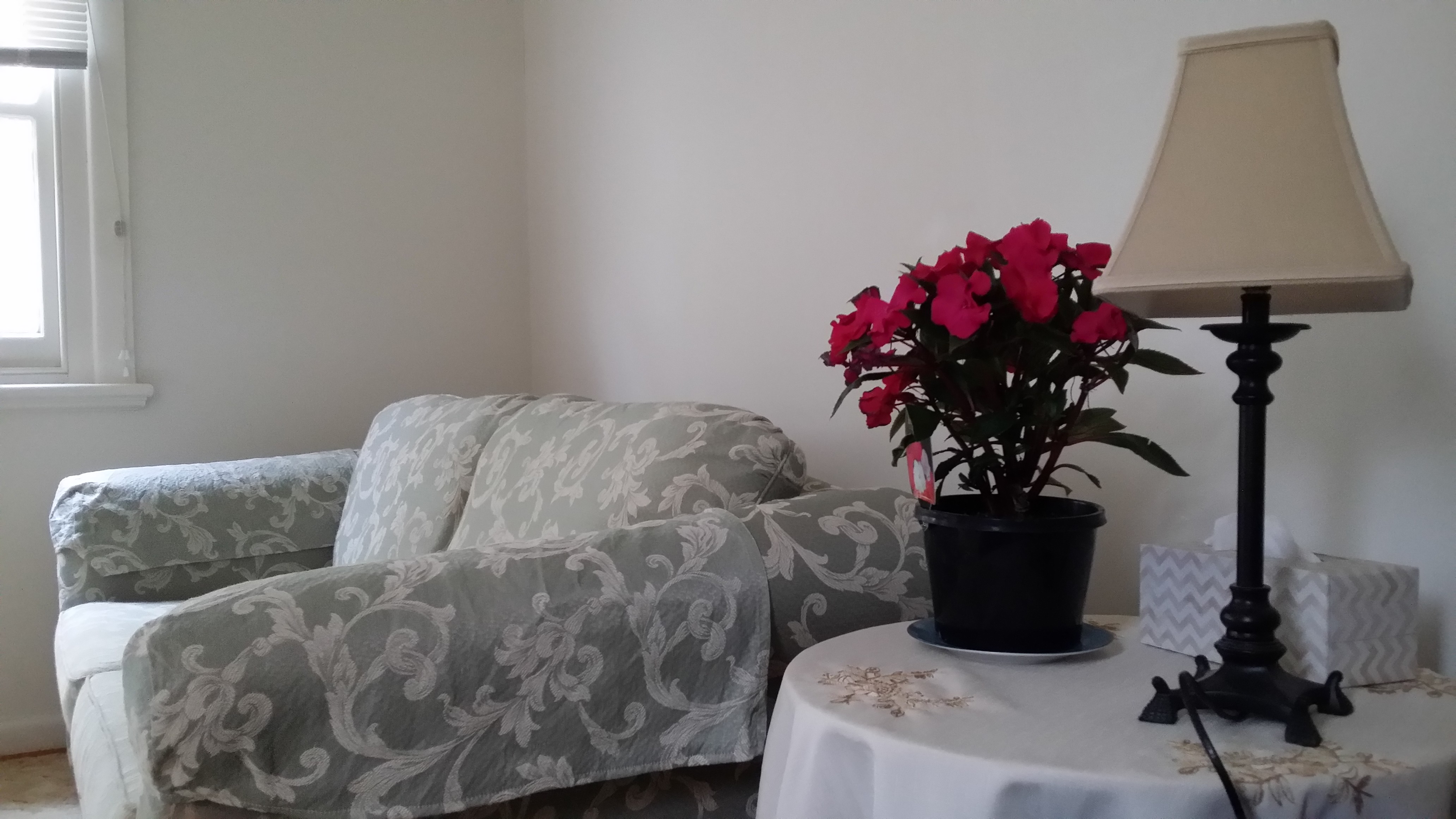 Self contained Bungalow, 20min's from City Center! in Moreland, Melbourne