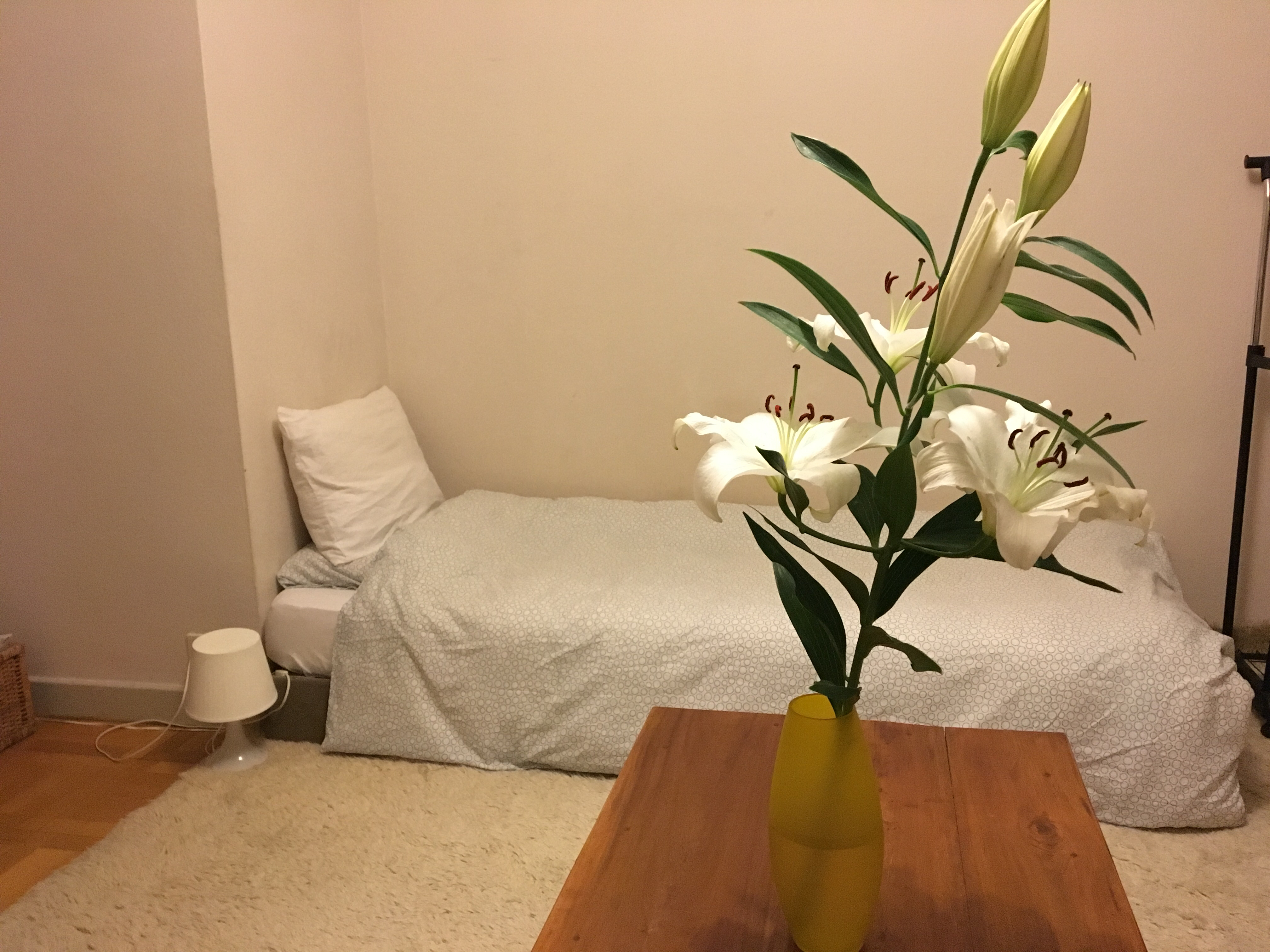 Belle et grande chambre aux Eaux Vives in Commune de Genève, Geneva