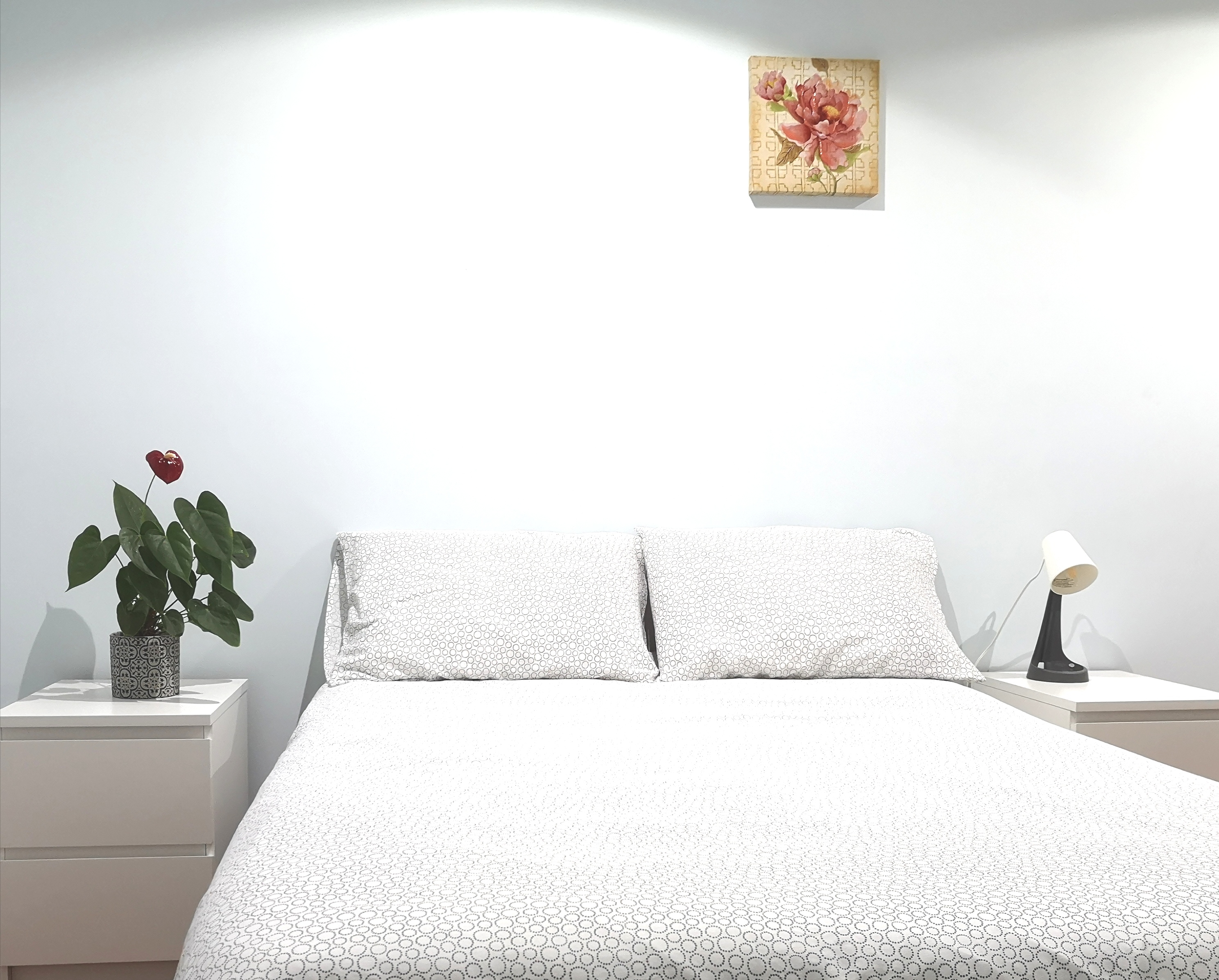 Cozy private room - Little Italy