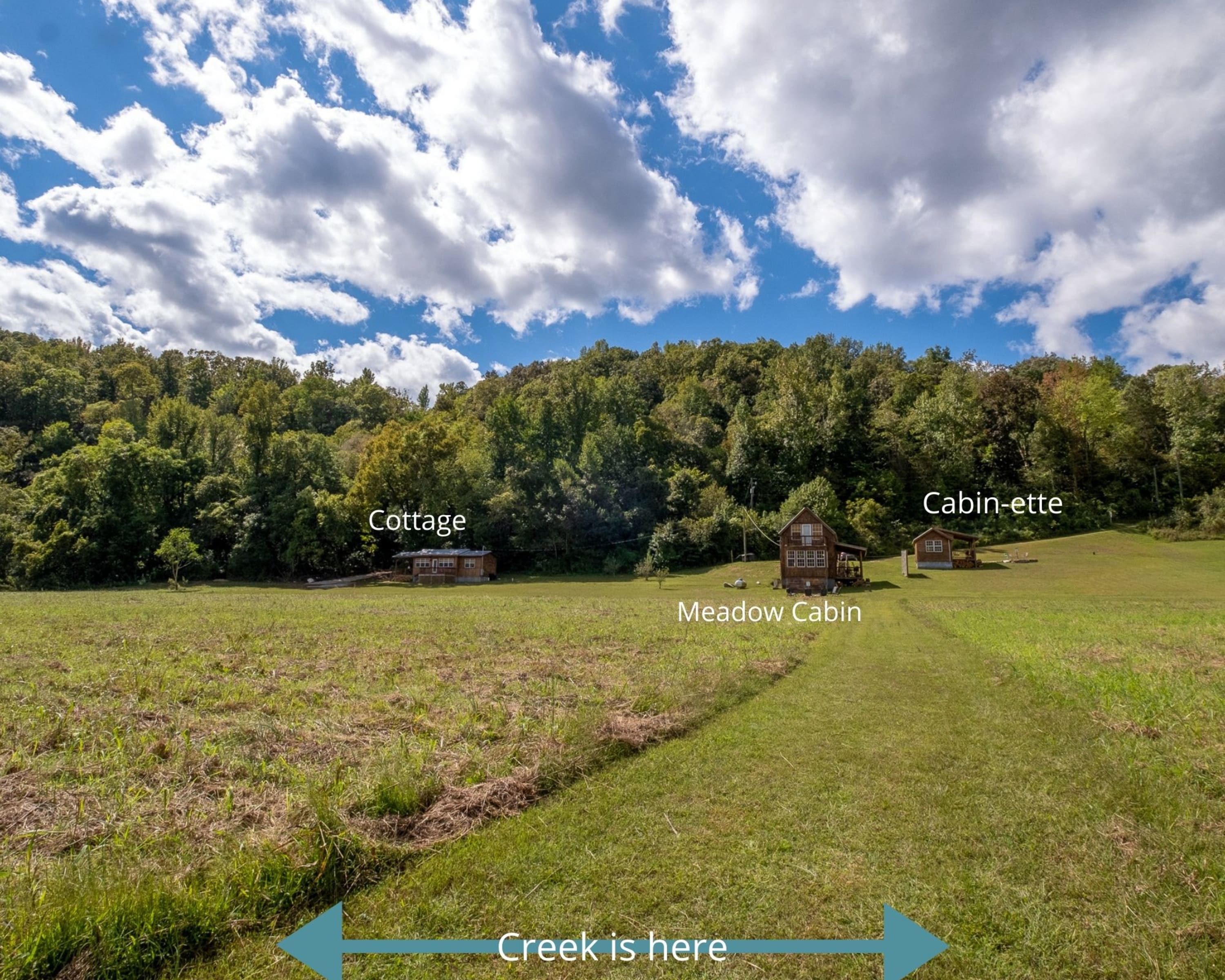 Meadow Cabin on Sylamore Creek Cabins for Rent in Mountain View