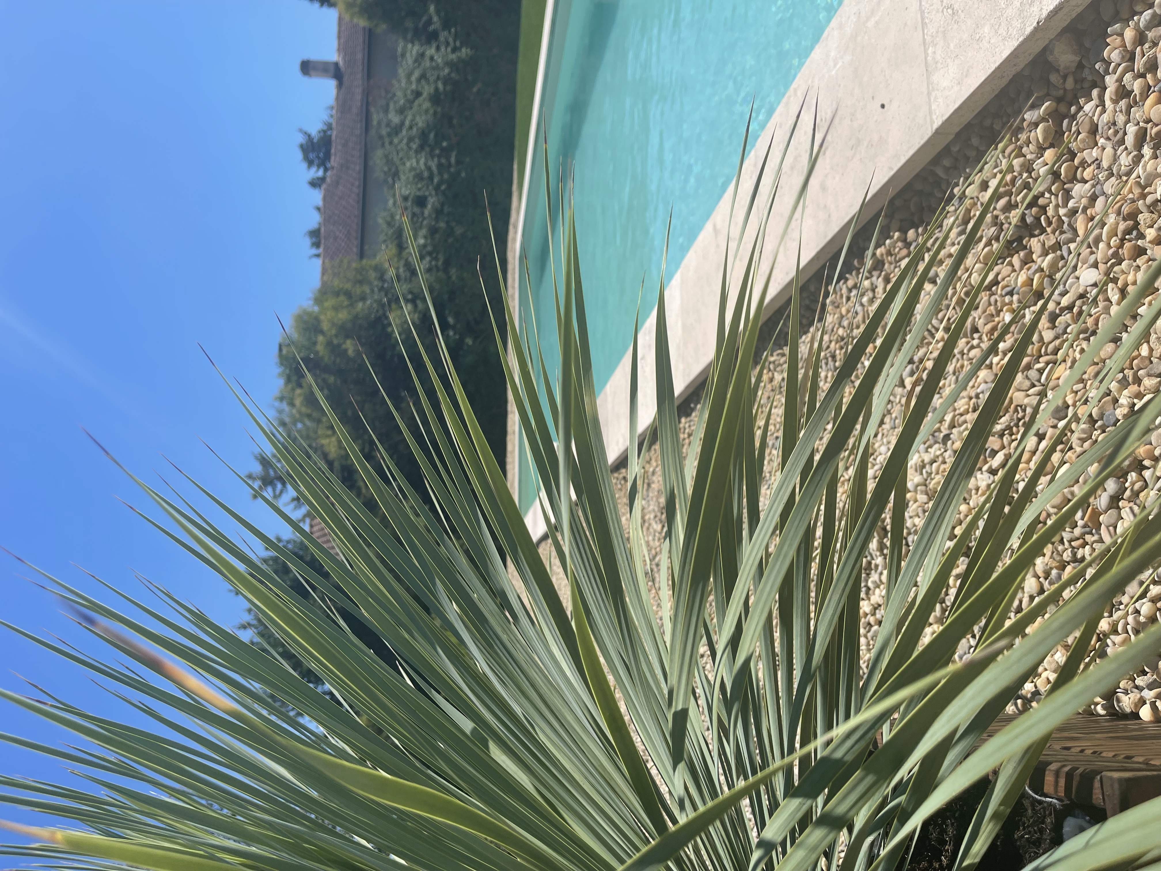 Quiet family villa with large pool.