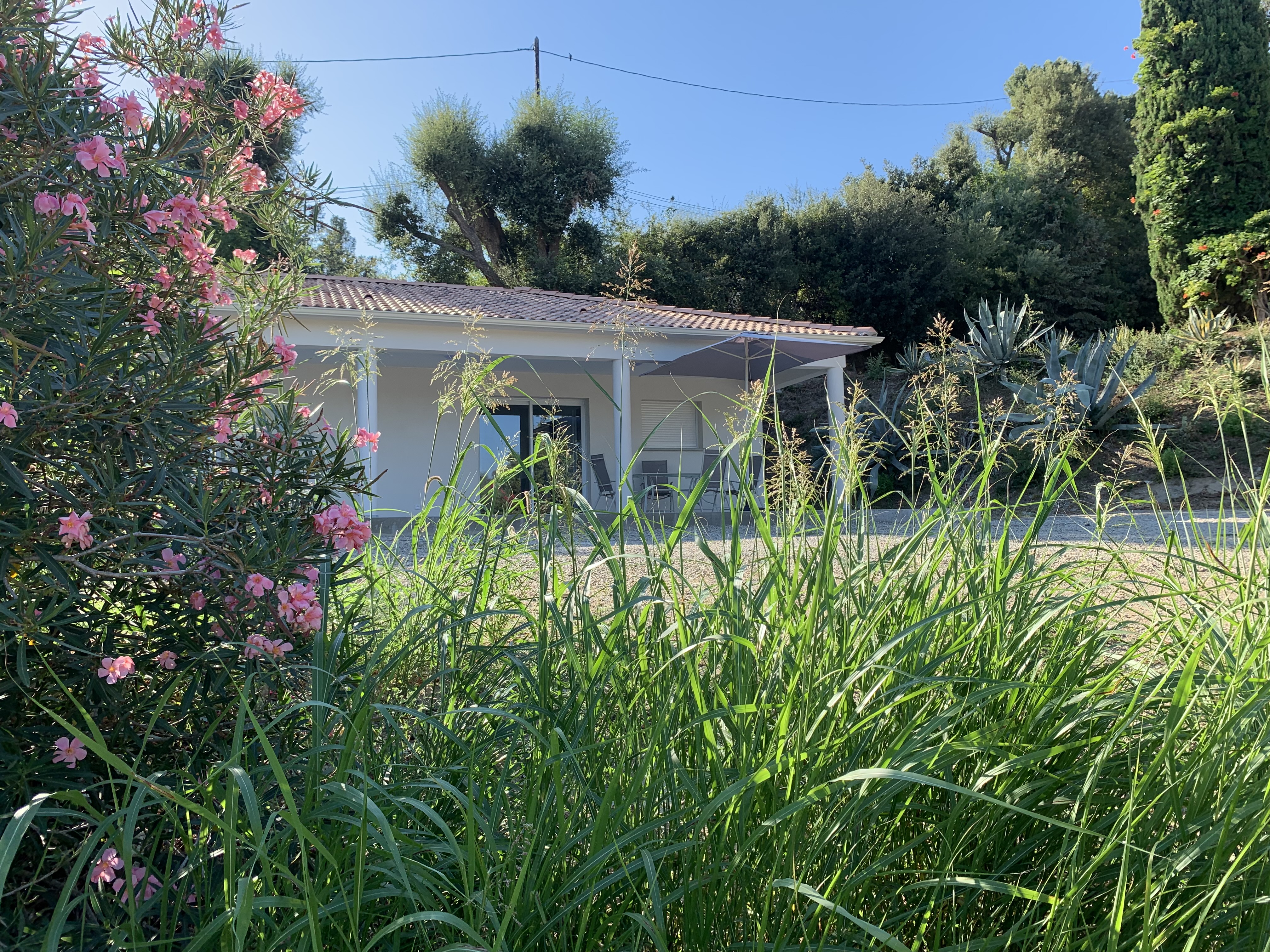 Castagniccia, Between the Sea and the Mountain