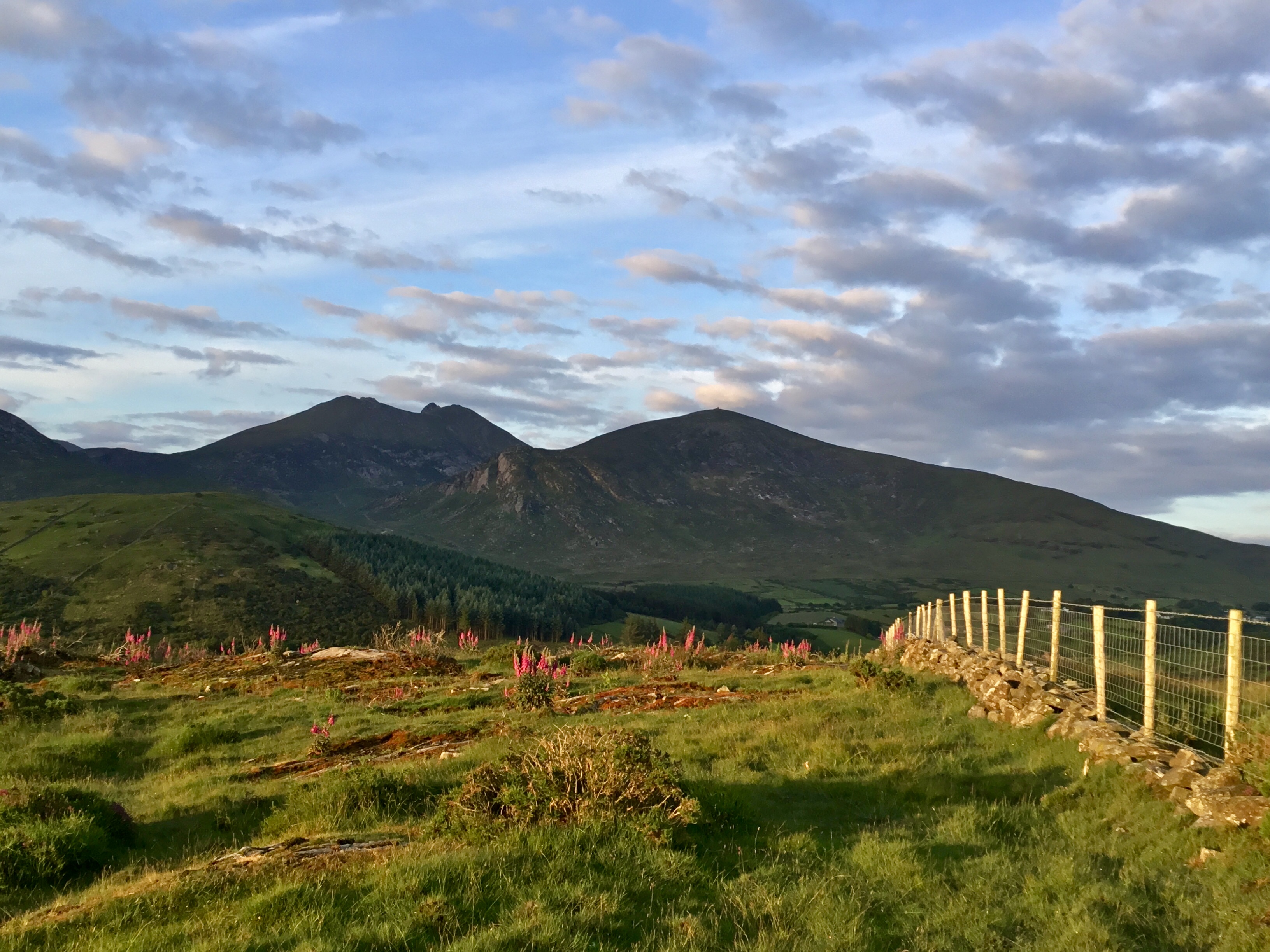 Tollymore Luxury Log Cabin Dome houses for Rent in Newry, Mourne and