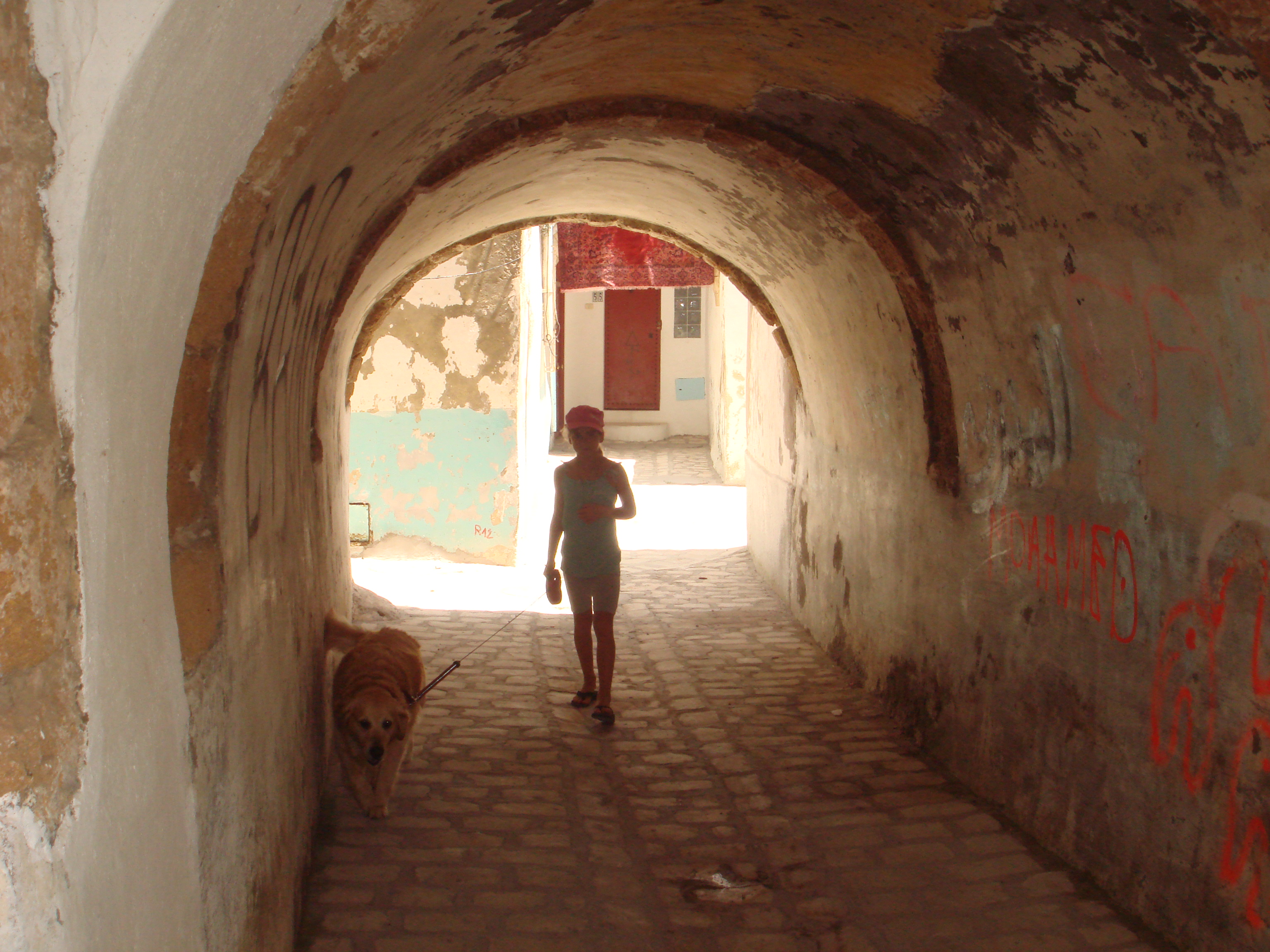 DAR WARDA, Old Harbor Medina