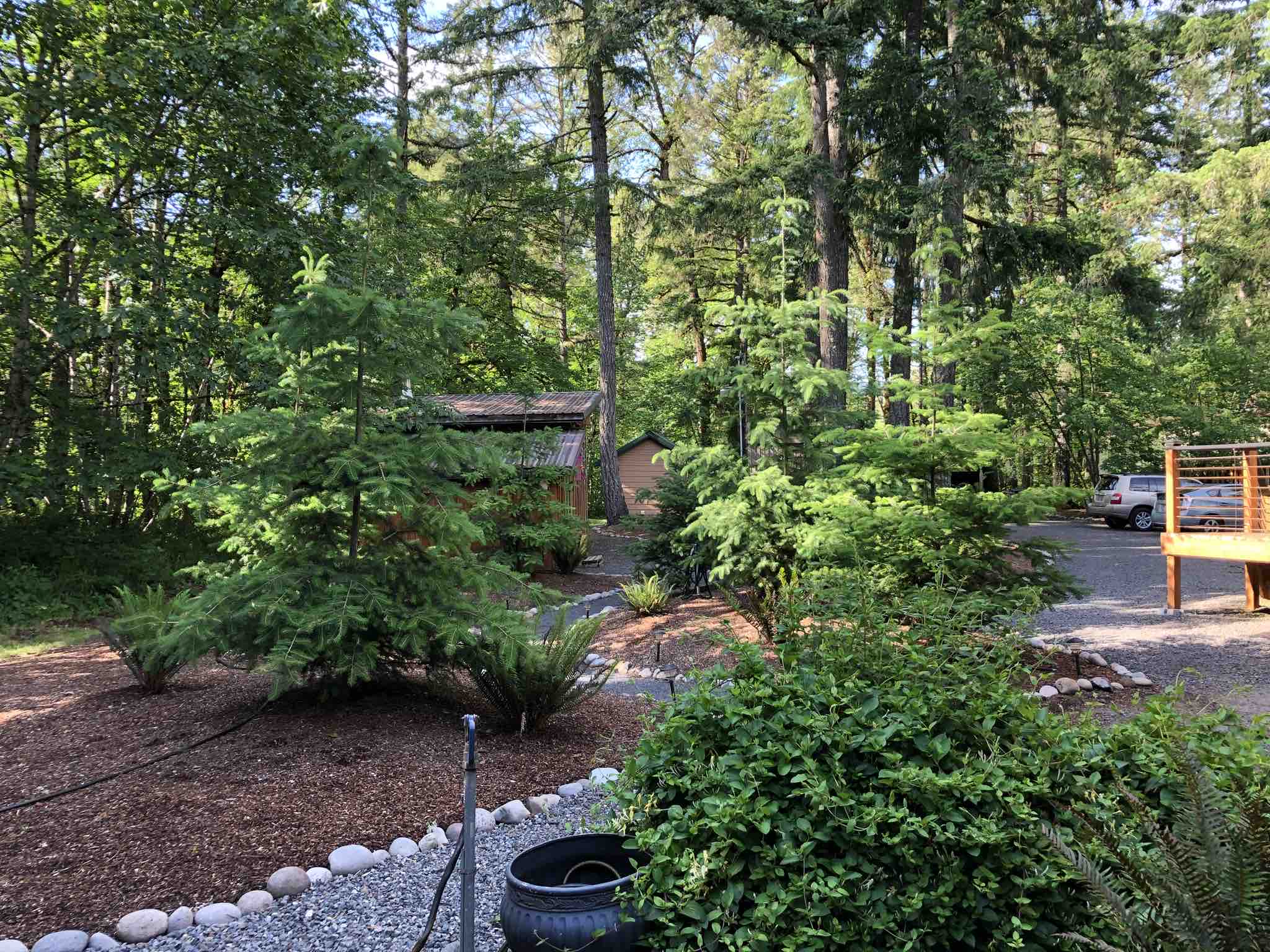 Spoil yourself! Luxury Cabin on the Santiam River Guesthouses for