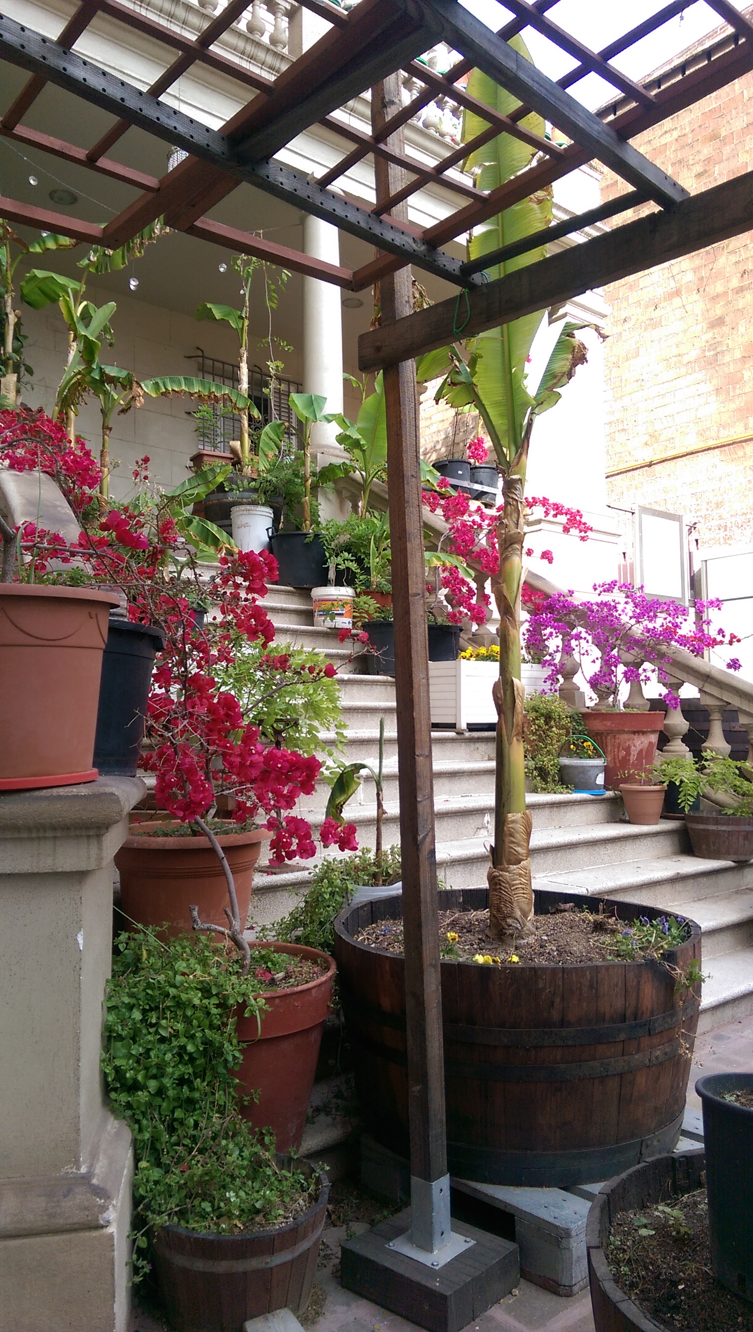 Airbnb爱彼迎 阳光明媚 宁静的房间 靠近桂尔公园