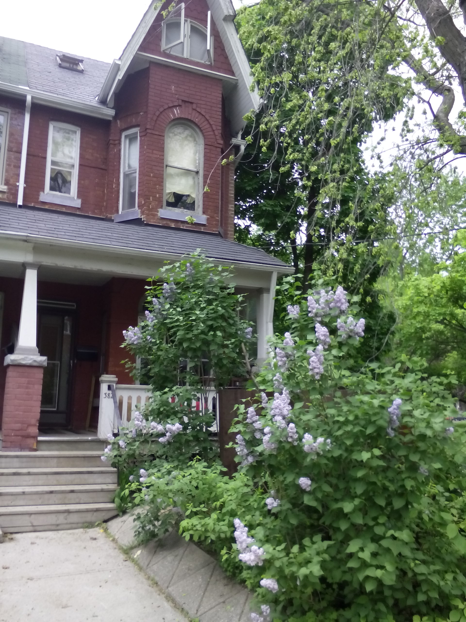 Downtown residential in Trinity-Bellwoods, Toronto