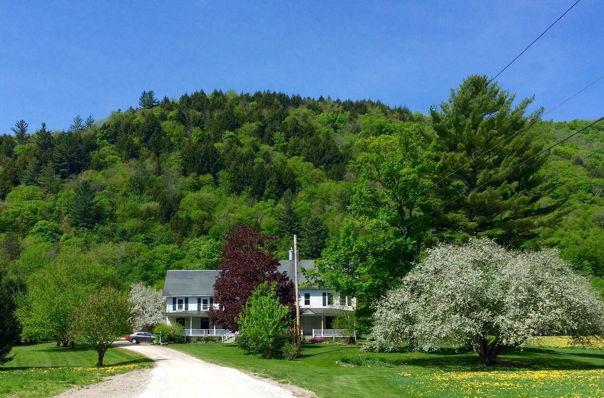 Sugarbush, Killington VT farmhouse Houses for Rent in Rochester