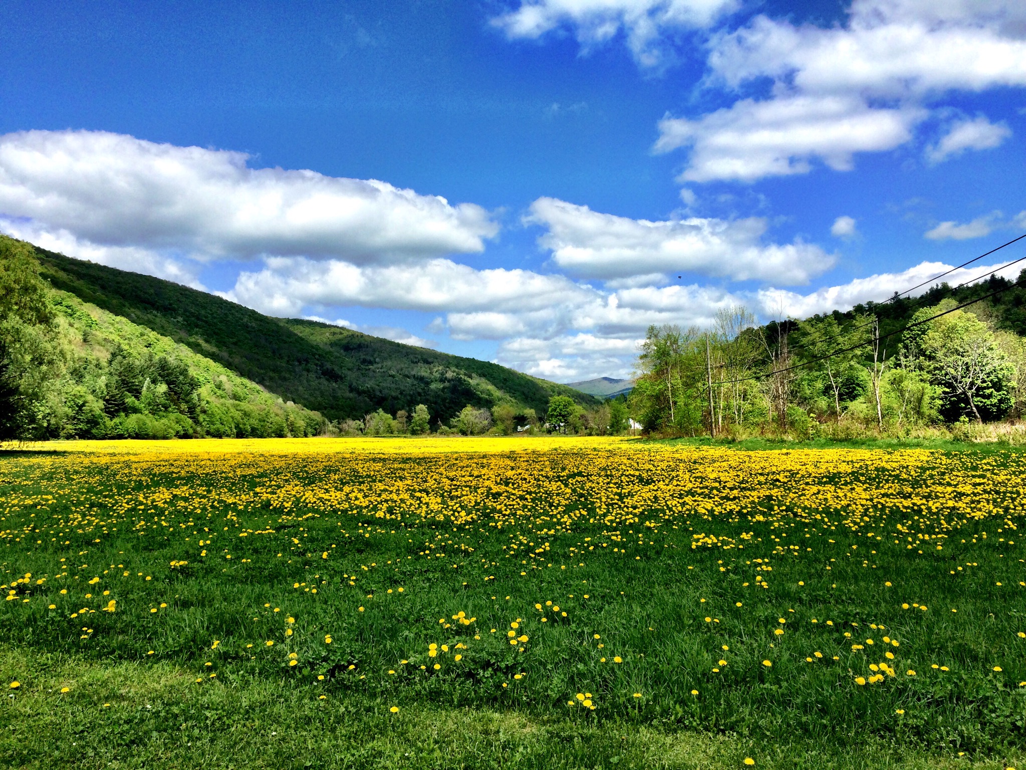 Sugarbush, Killington VT farmhouse Houses for Rent in Rochester