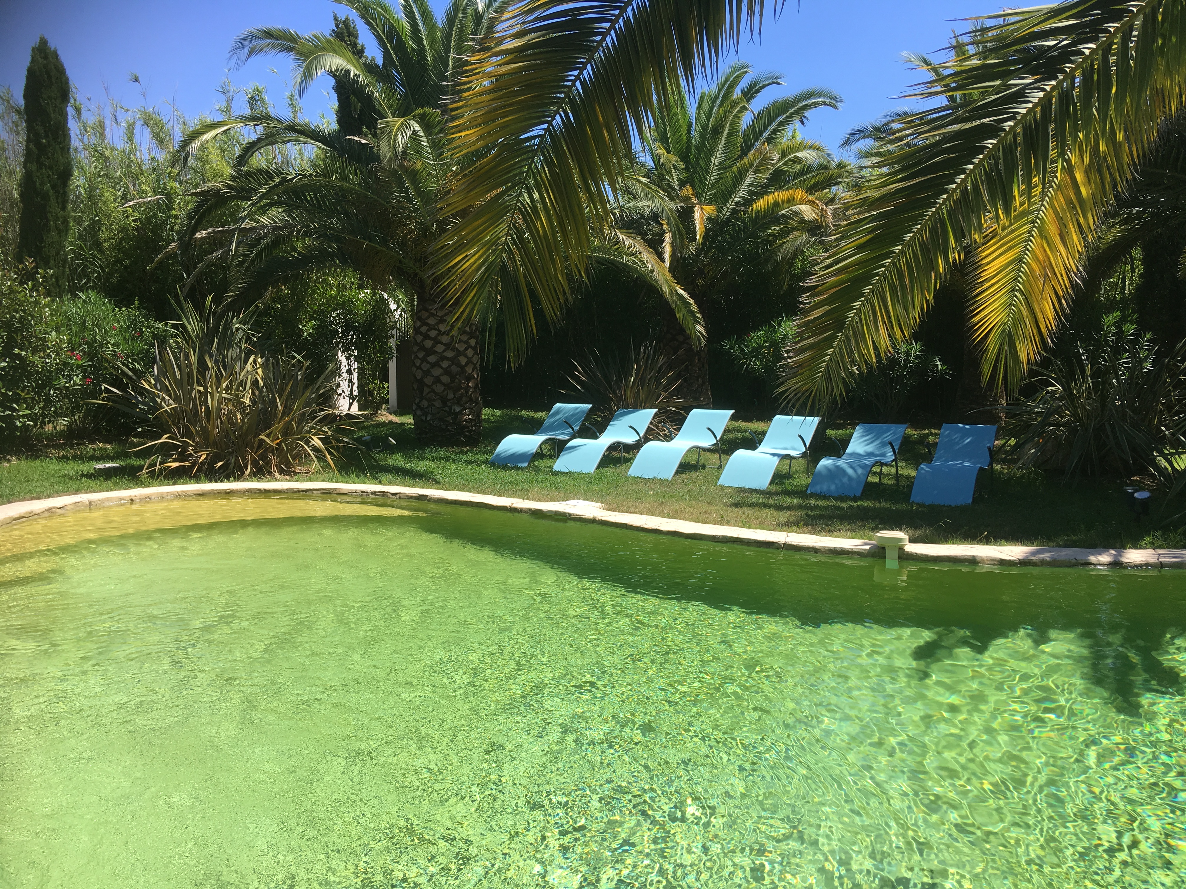 Beautiful Provencal Mas with Private Waterfall Pool