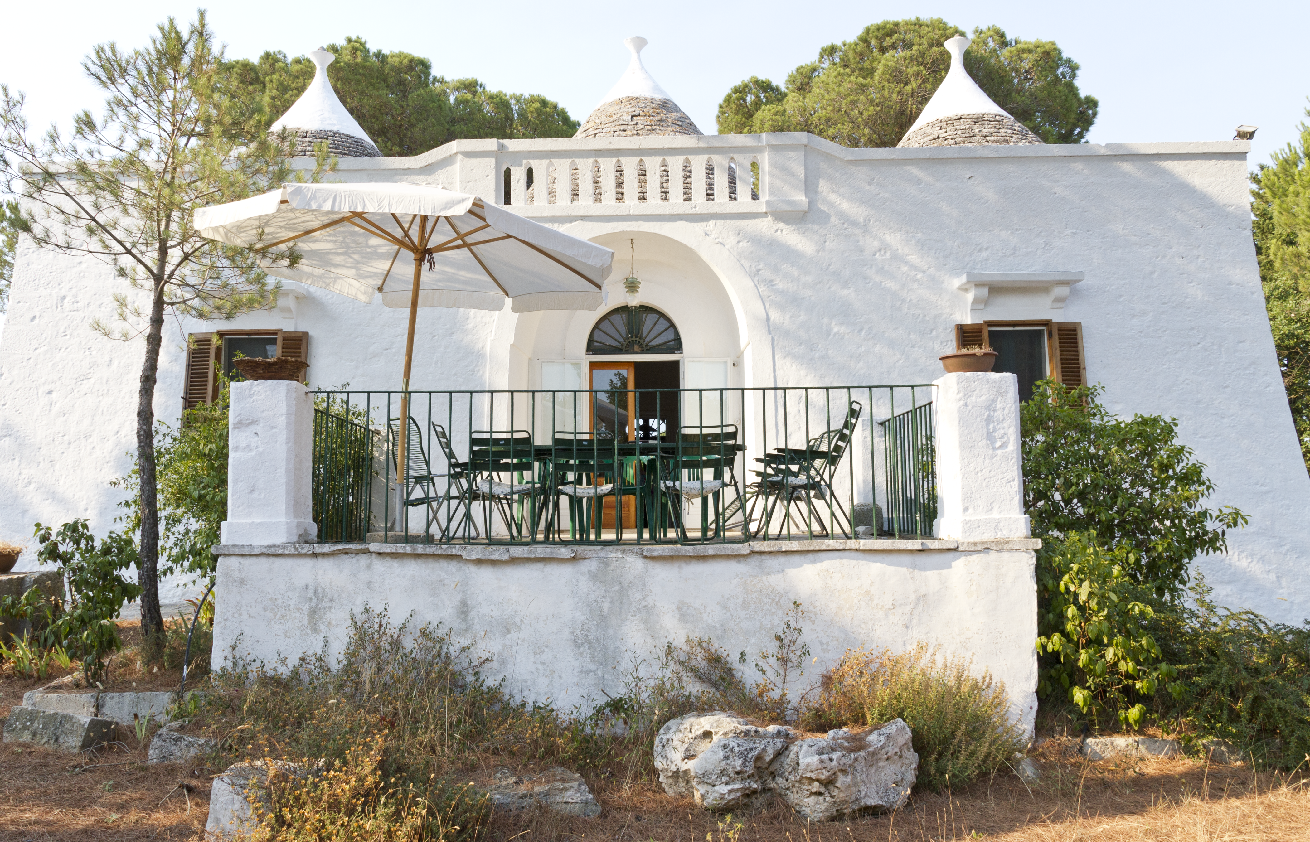 trullo with pinewood, Valle d'Itria