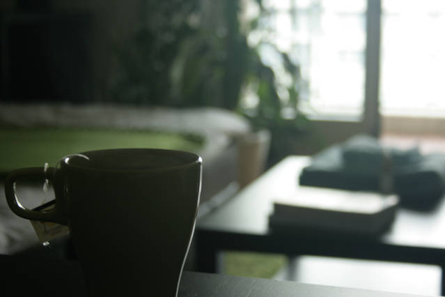 Comfortable apartment in Nations in Commune de Genève, Geneva
