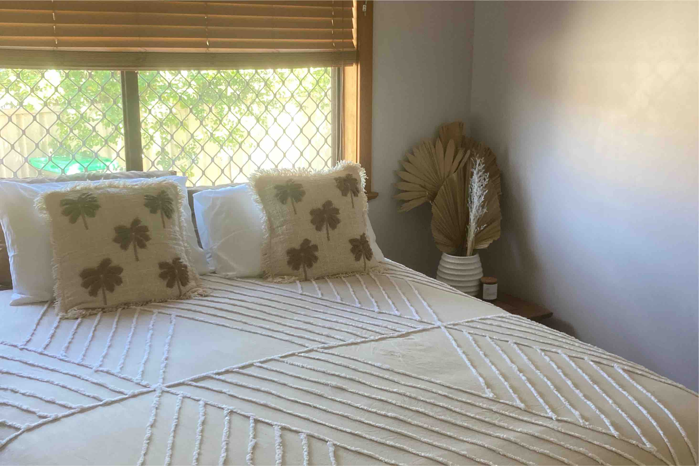 Haven & Palm (pet paradise ) in Mid-Coast, Mid North Coast