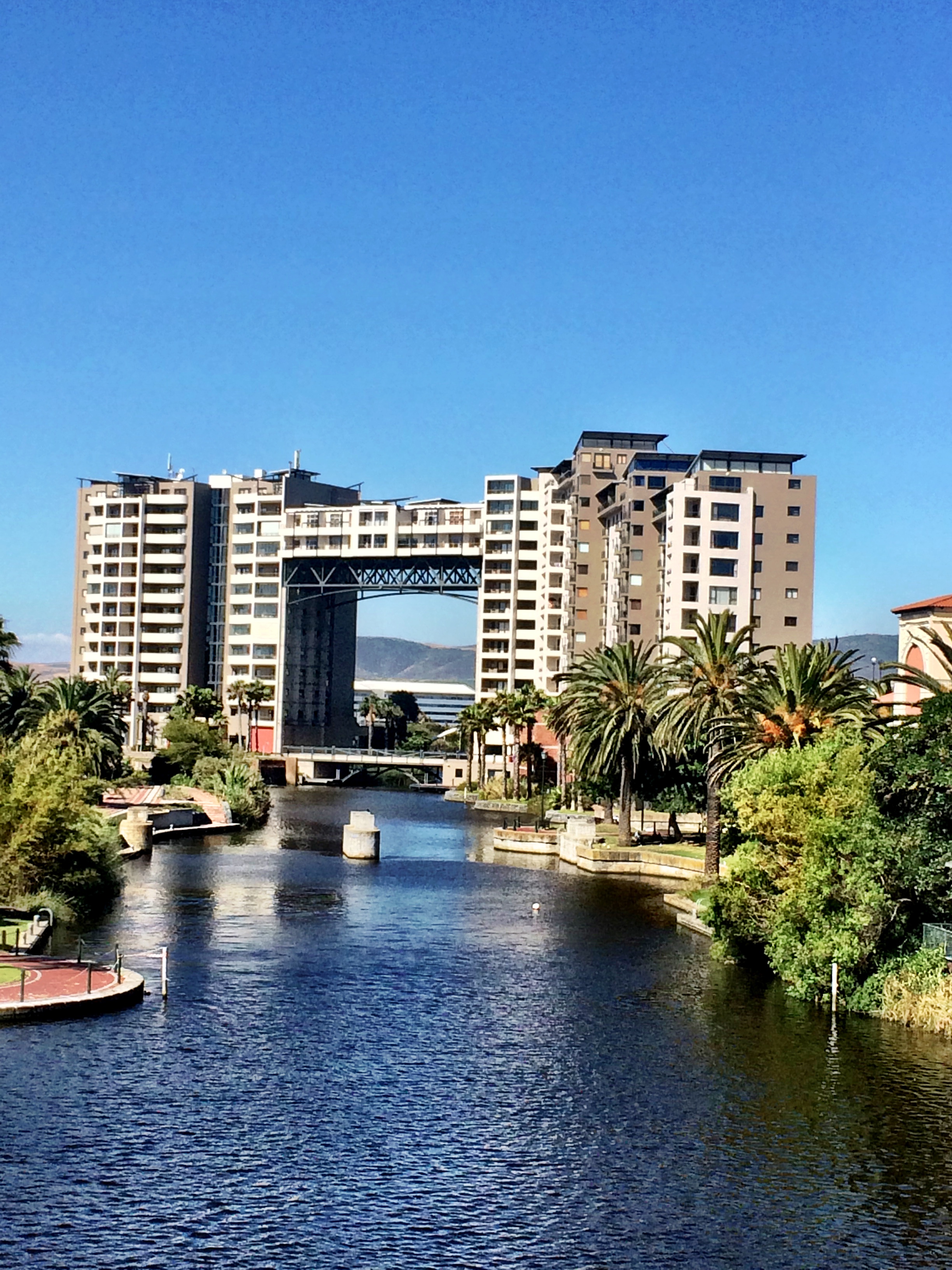 Canal and palm views apartment