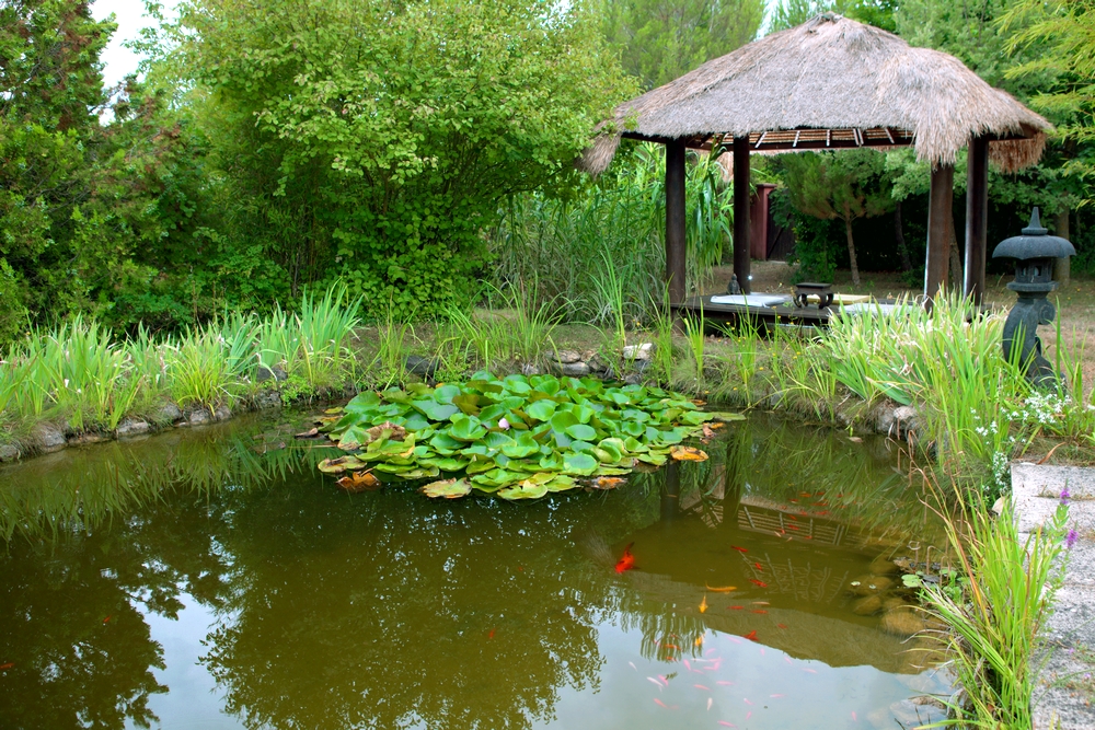 COMFORTABLE Extra ZEN self-catering COTTAGE