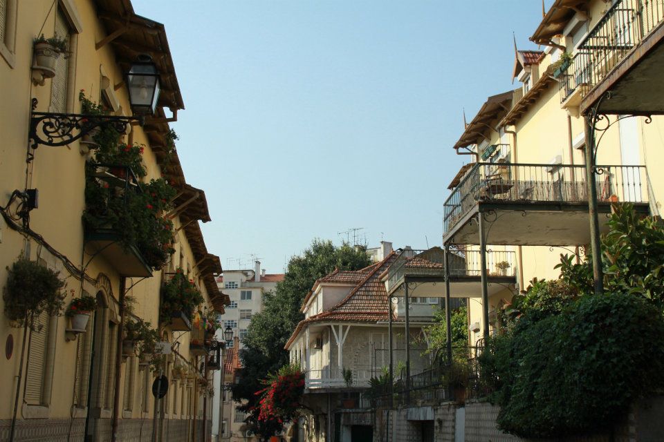 The House of Books
