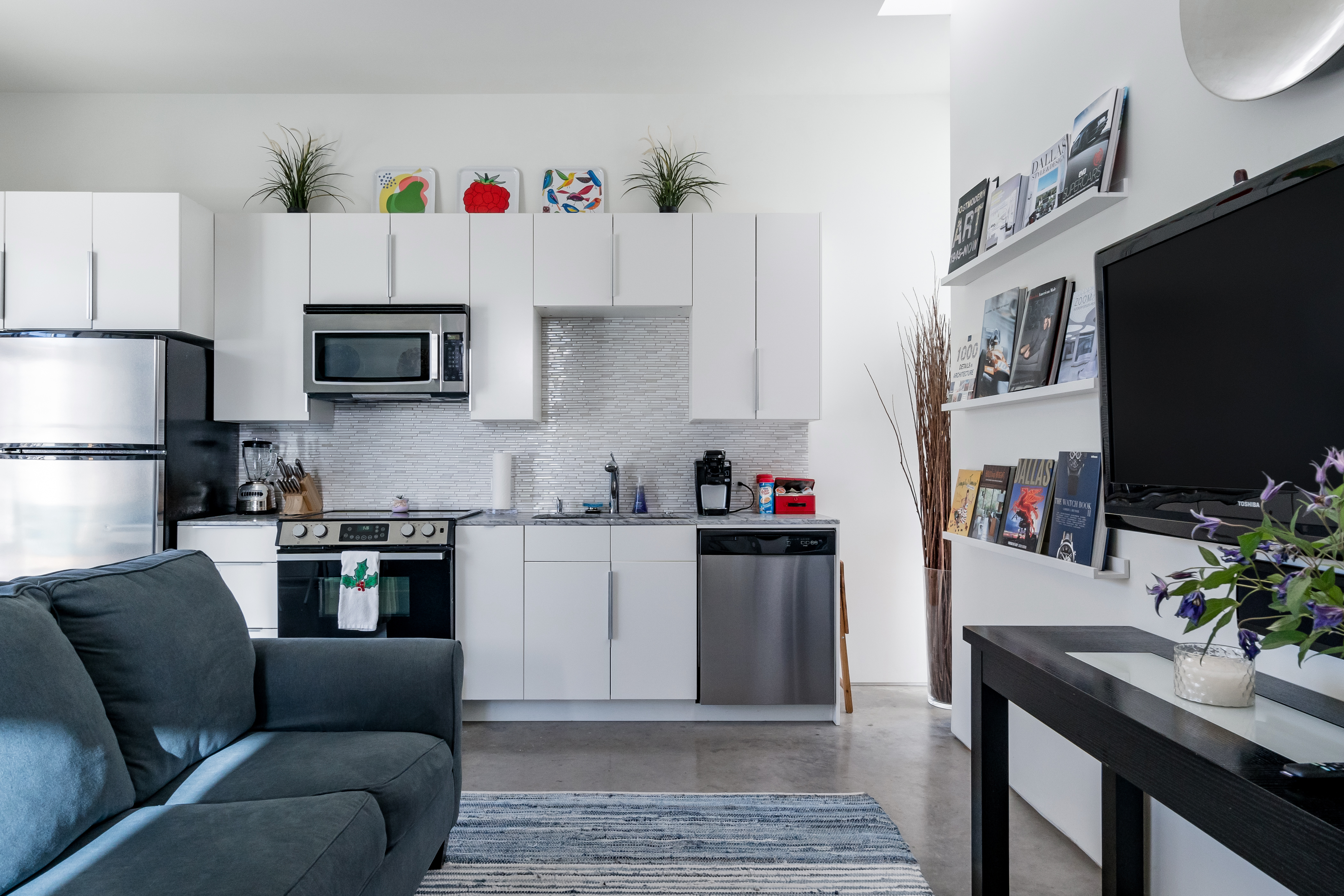 Modern, Large Pet Friendly Apt with Private Patio in District 2, Dallas