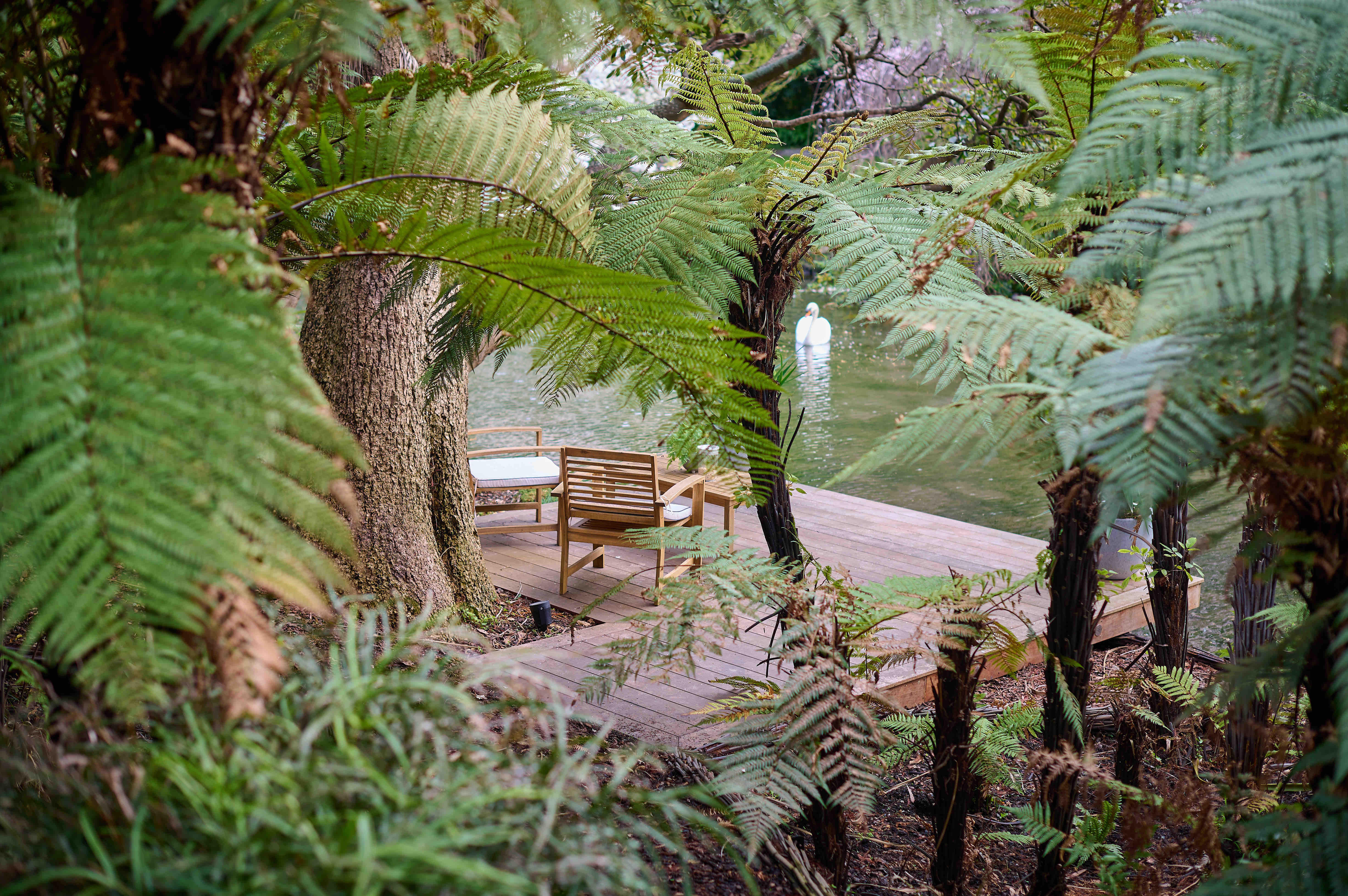 A Slice of Paradise in the City