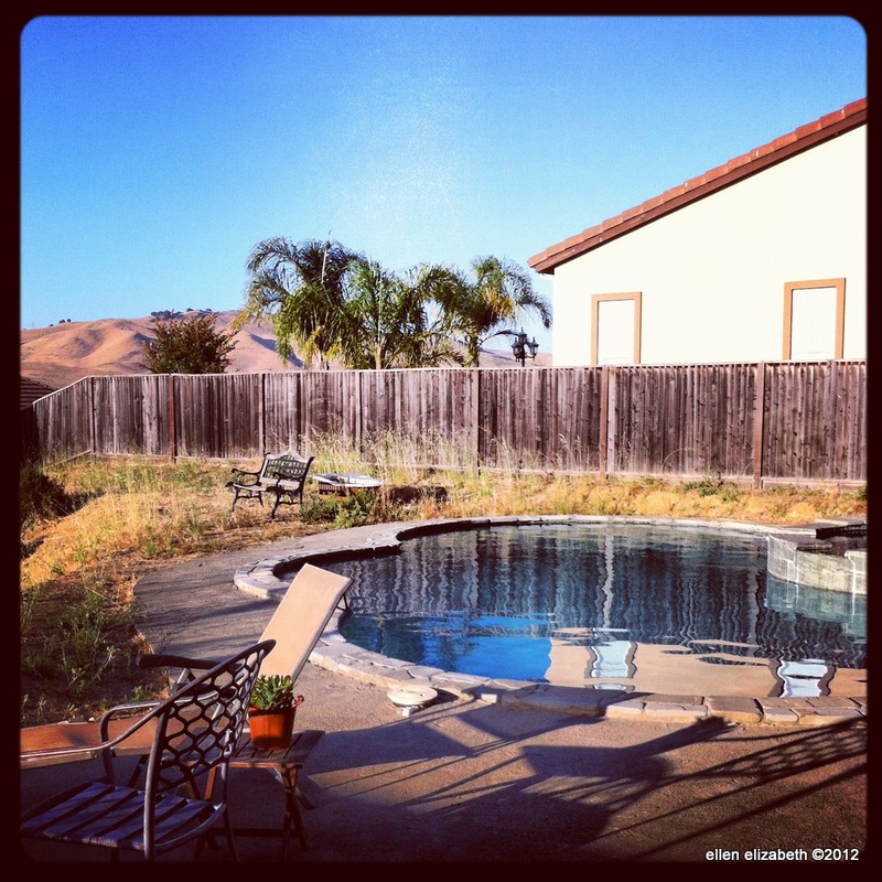 Napa Wine Country Lux Pool View Houses for Rent in American Canyon, California, United States