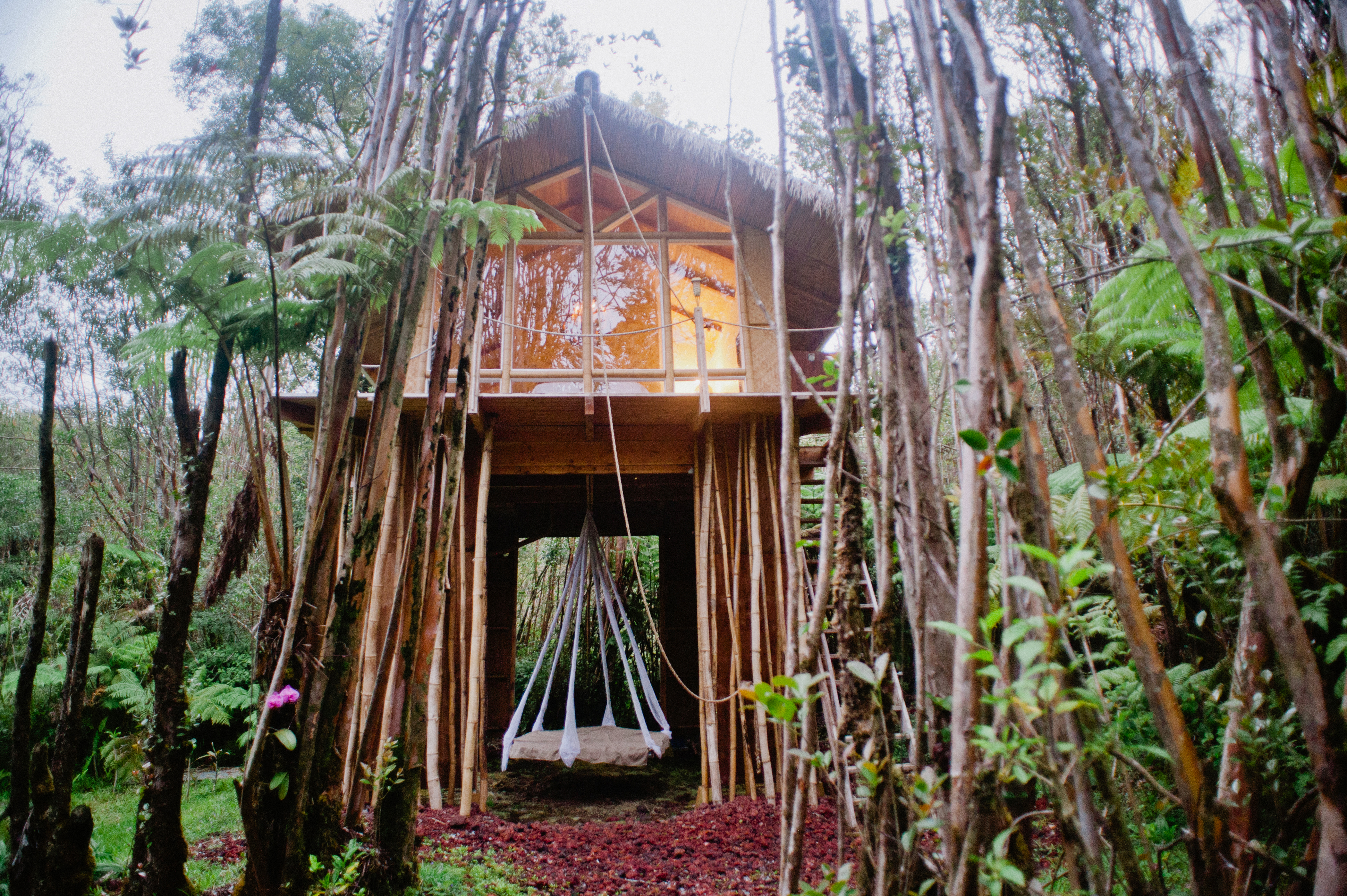 Dreamy Tropical Tree House 借りられる島 Fern Forest ハワイ州 アメリカ合衆国