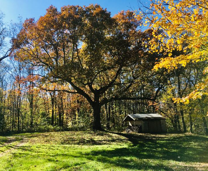Scout Lane Cabin Houses for Rent in Champion, Pennsylvania, United States