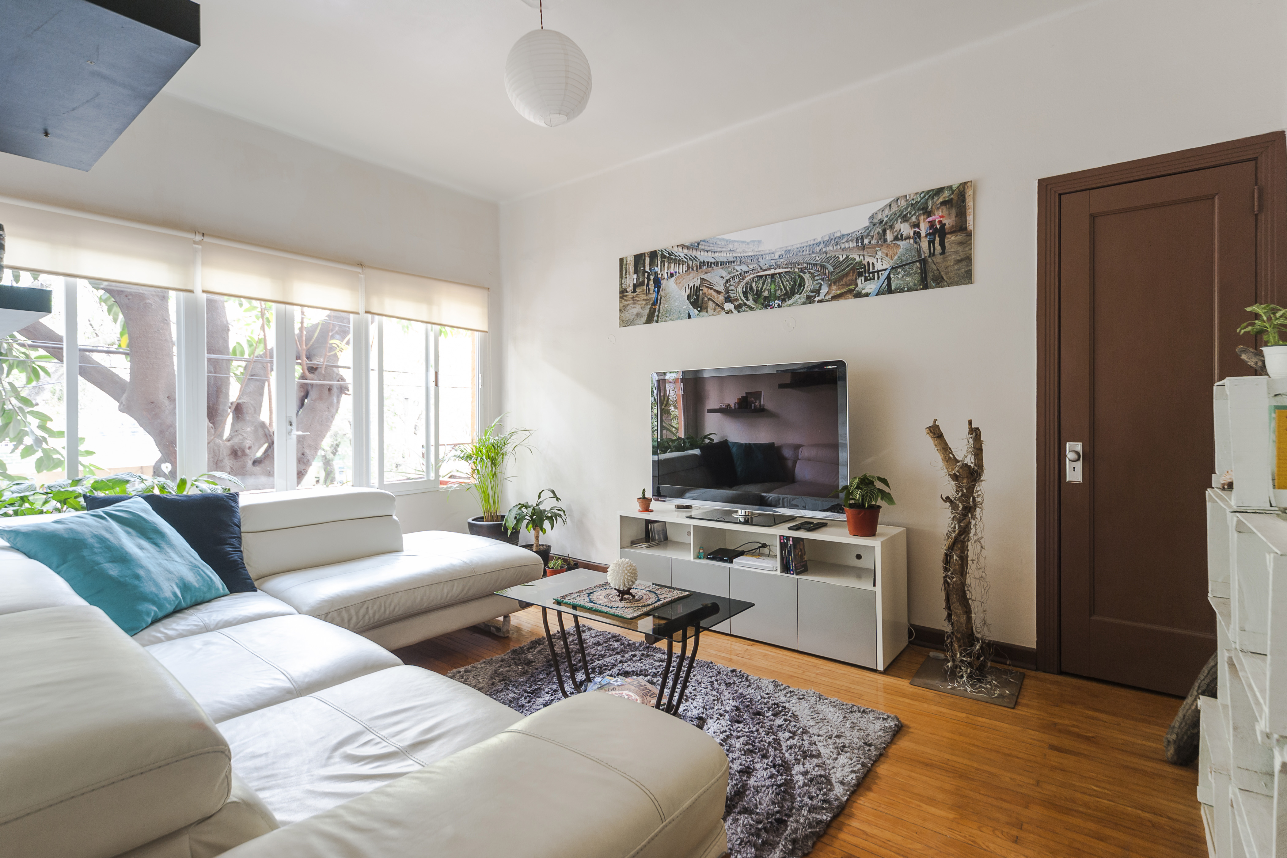 Trendy and cozy apartment at Condesa´s heart