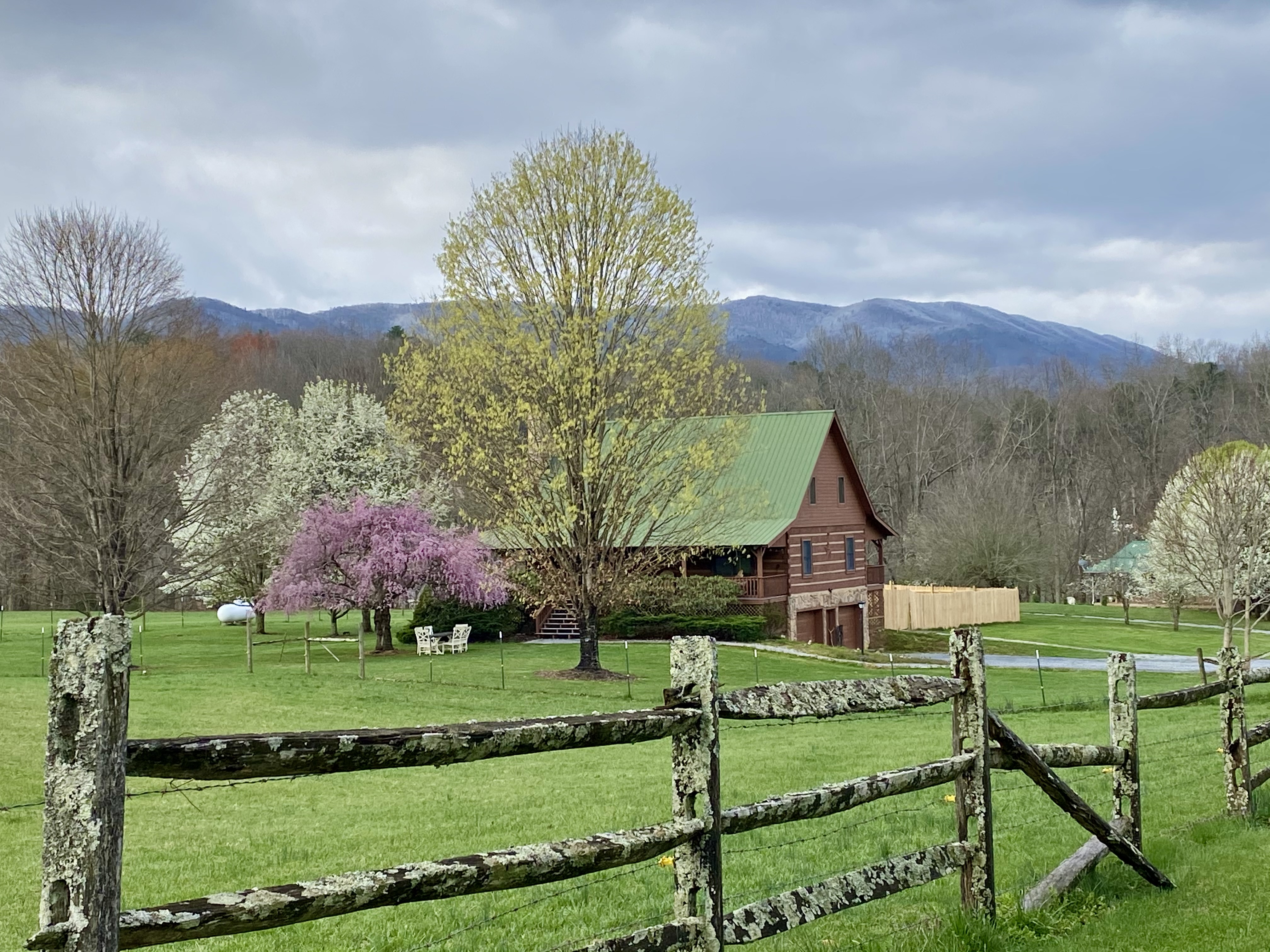 Willow Tree Retreat  Damascus, Va