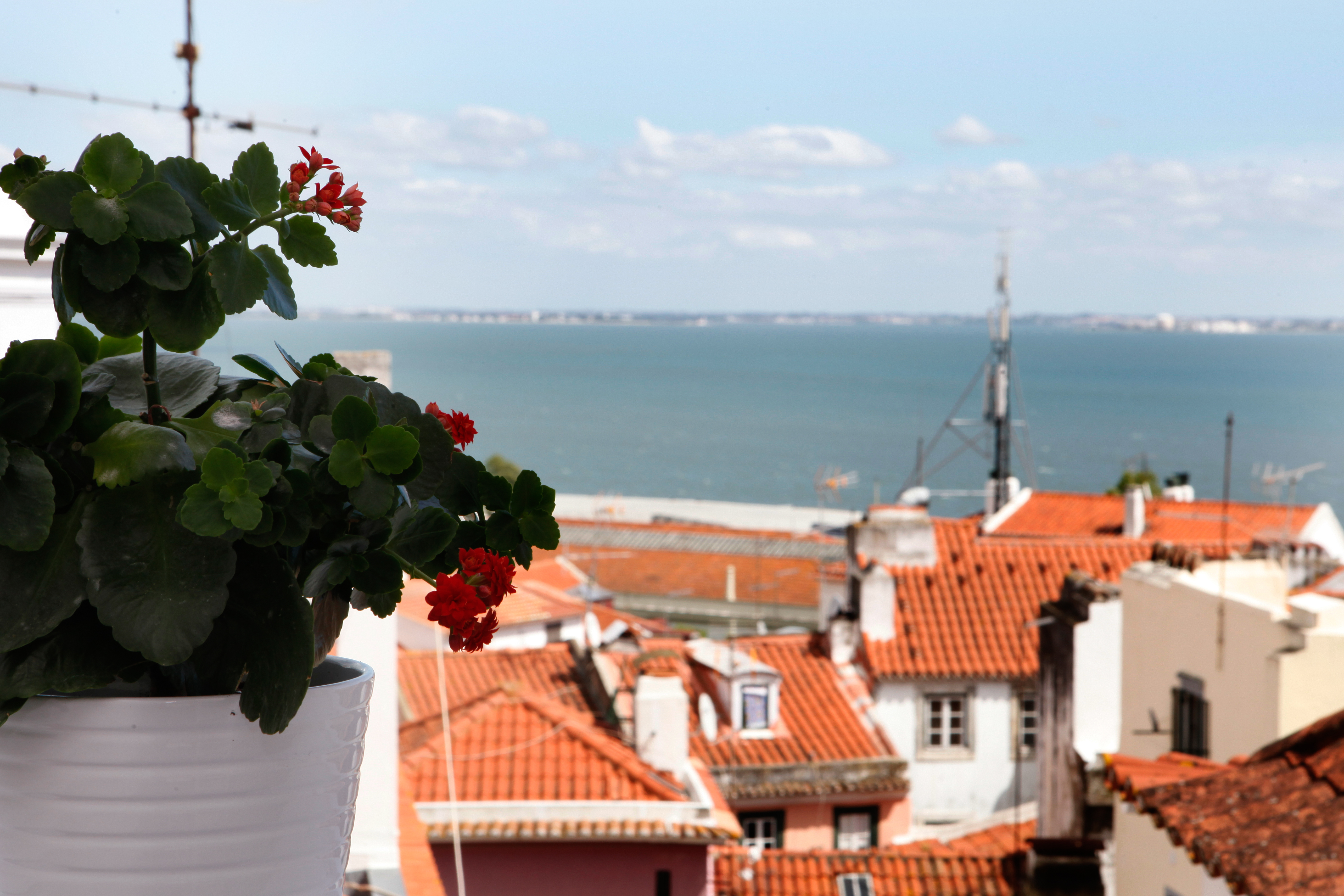 Alfama: Tejo river at sight