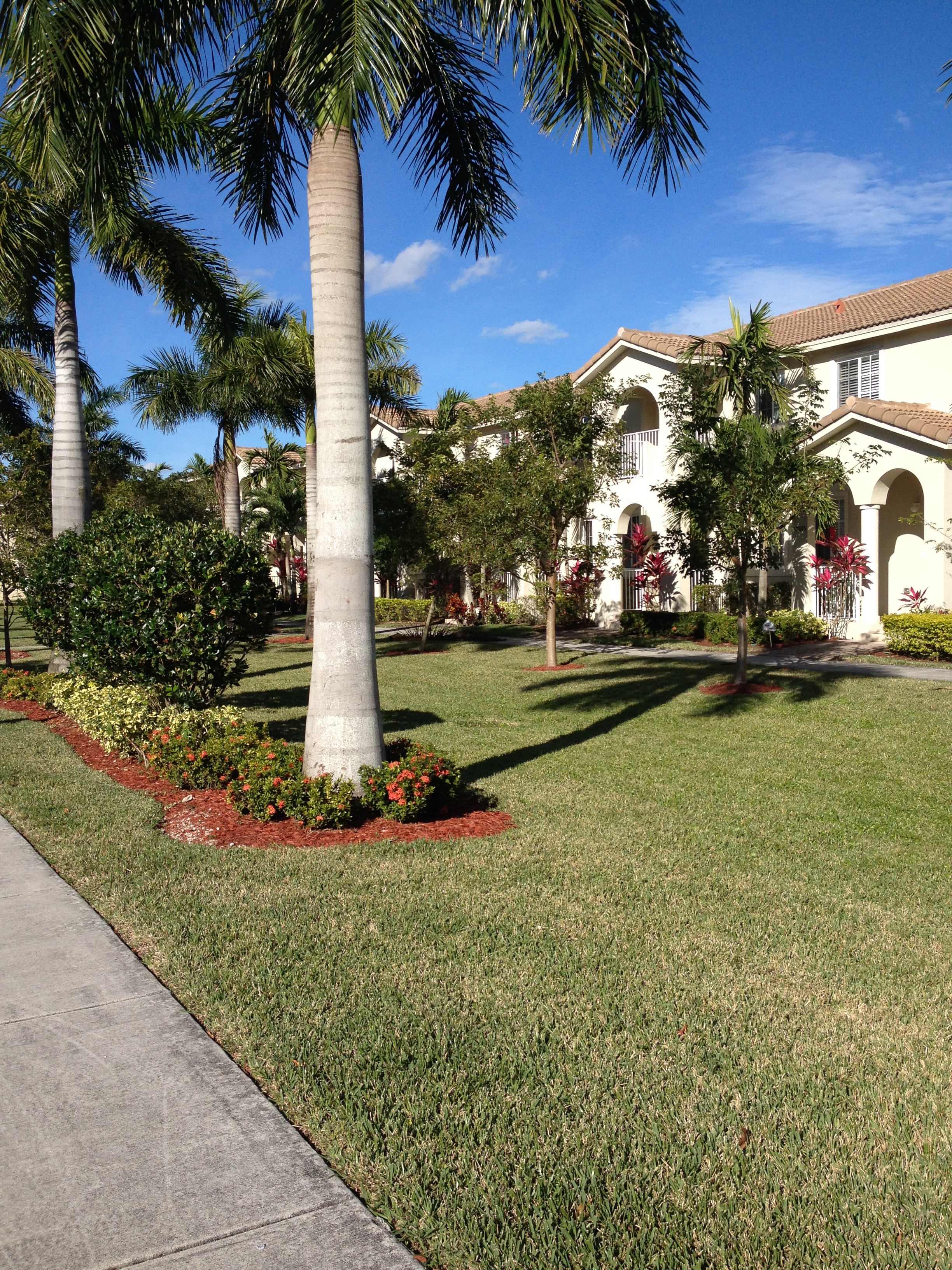Speedway Boulevard Townhouse (SBT)