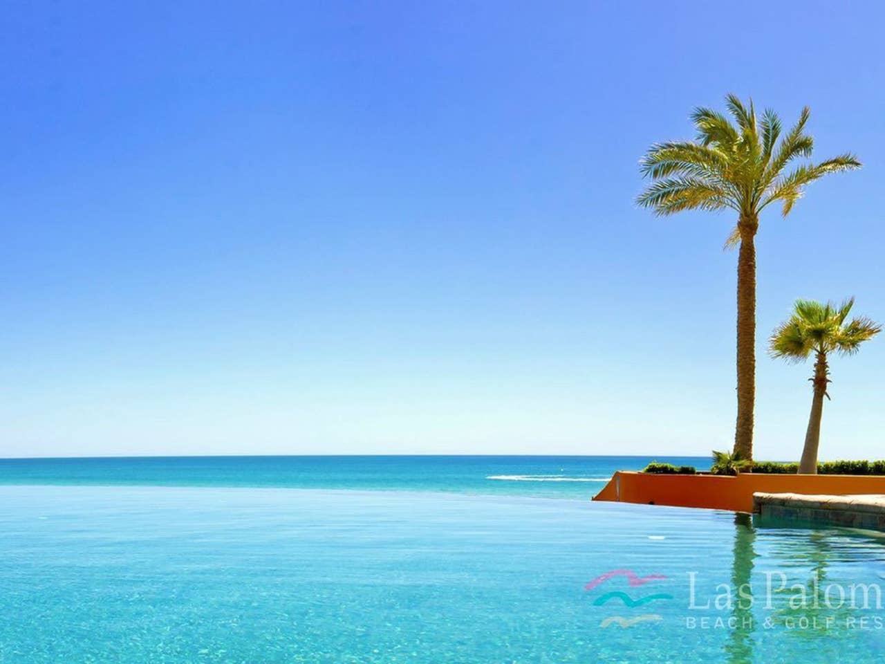 Luxurious Ocean Front Condo Las Palomas Phase Ii Condominiums For Rent In Puerto Penasco Sonora Mexico