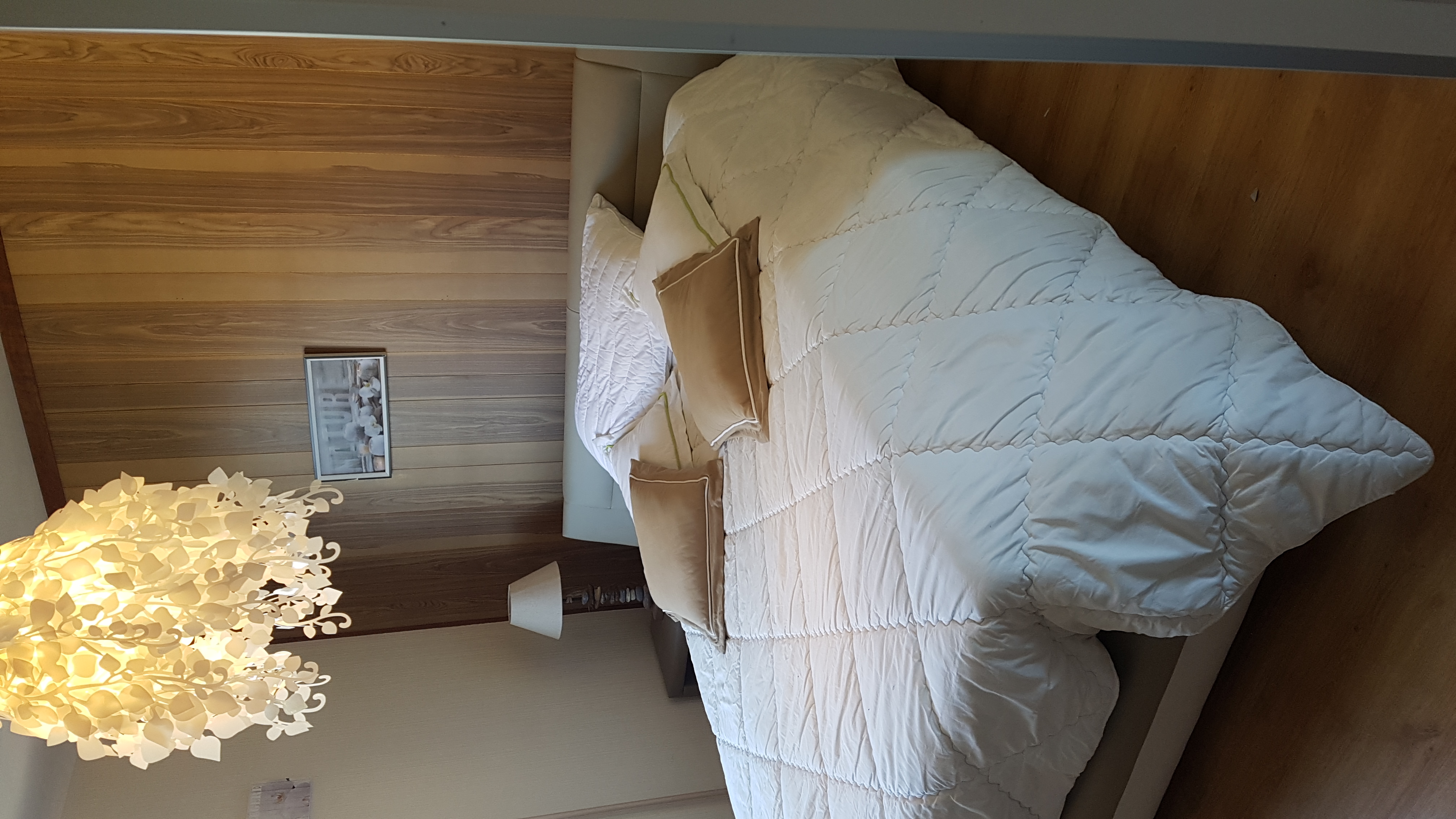 Close to Geneva spacious balcony with Salève view
