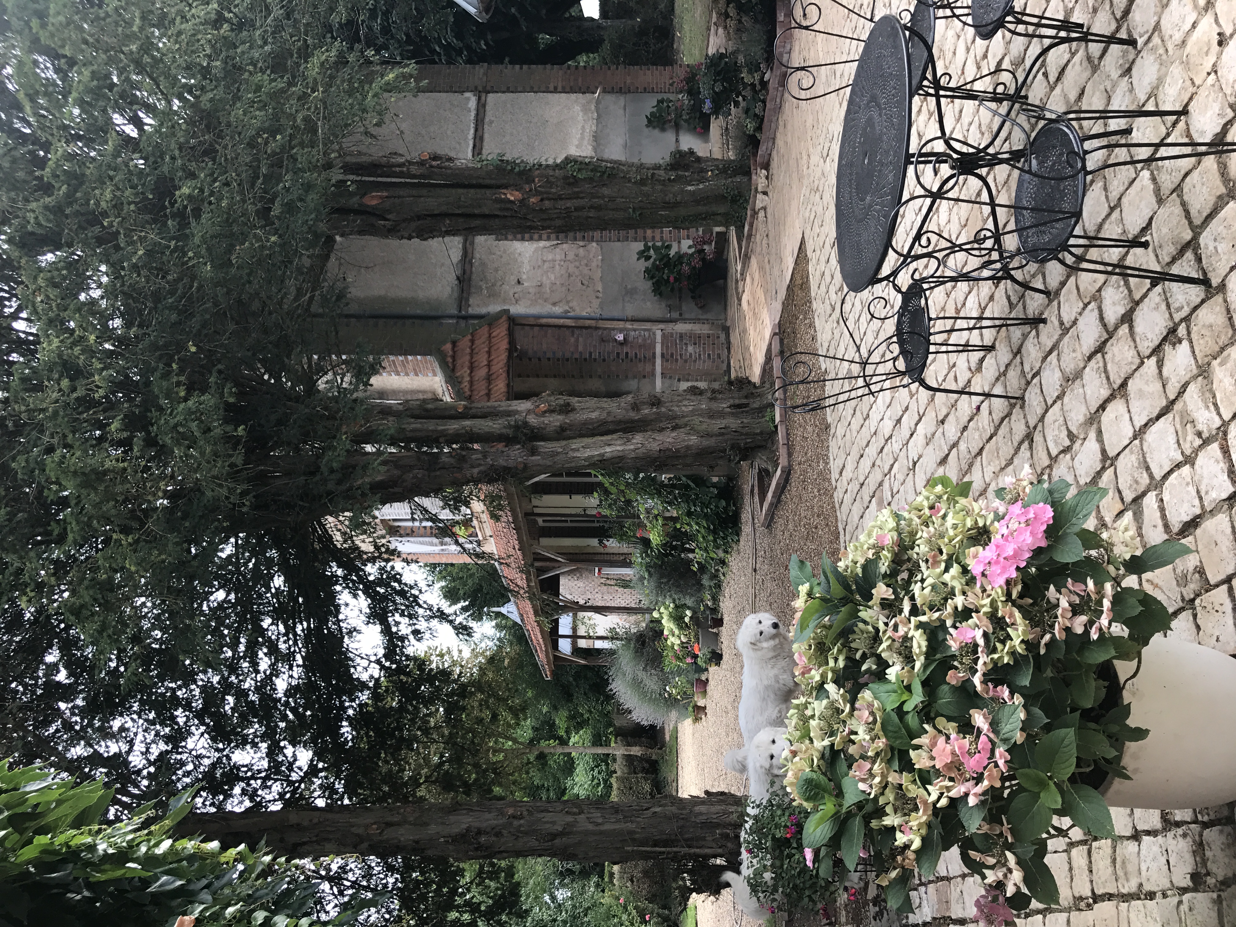 Le Chateau De Cartes Des Masses Piscine Maisons A Louer A Villeneuve La Guyard Bourgogne Franche Comte France