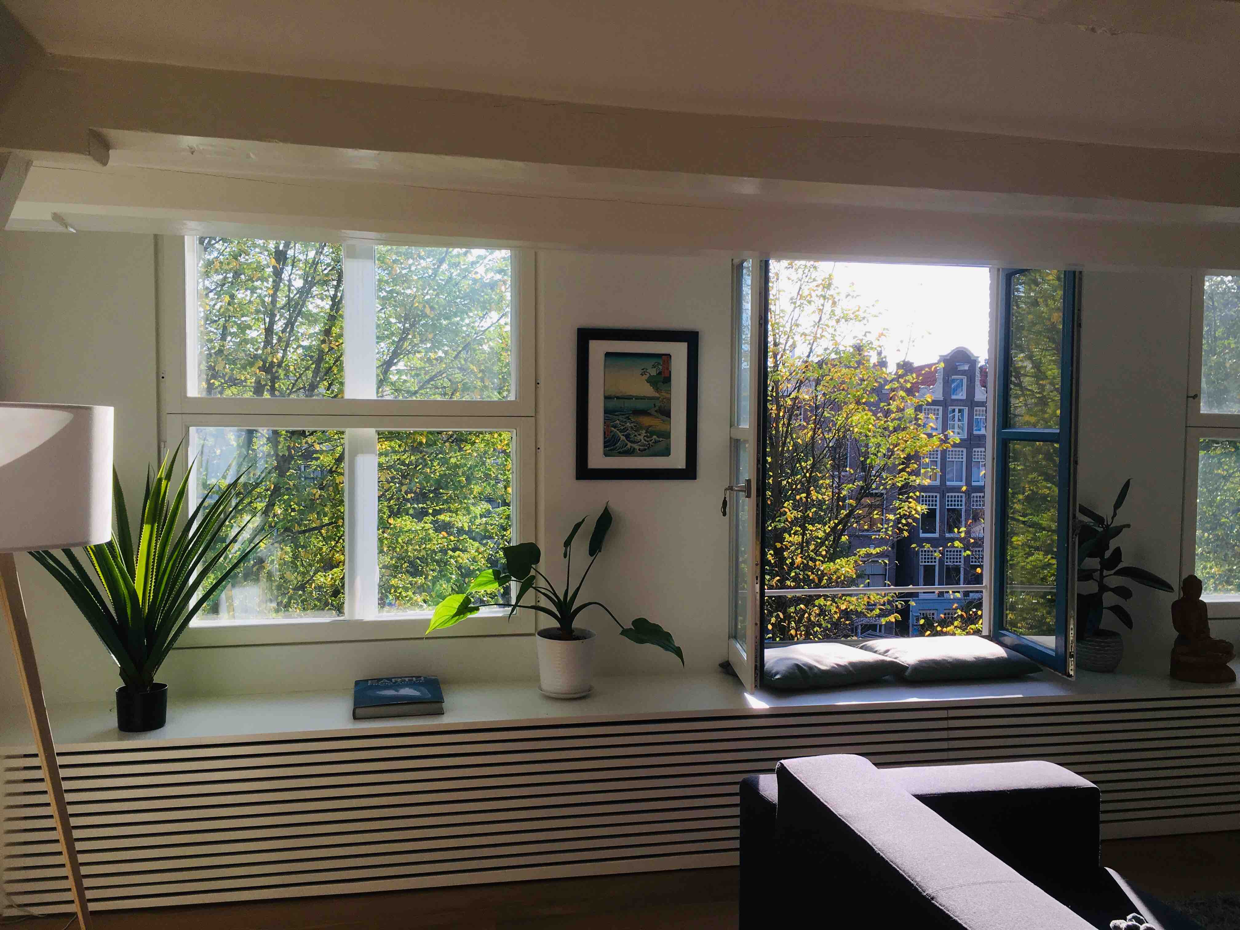 Luxurious house at the canals. — Amsterdam stay