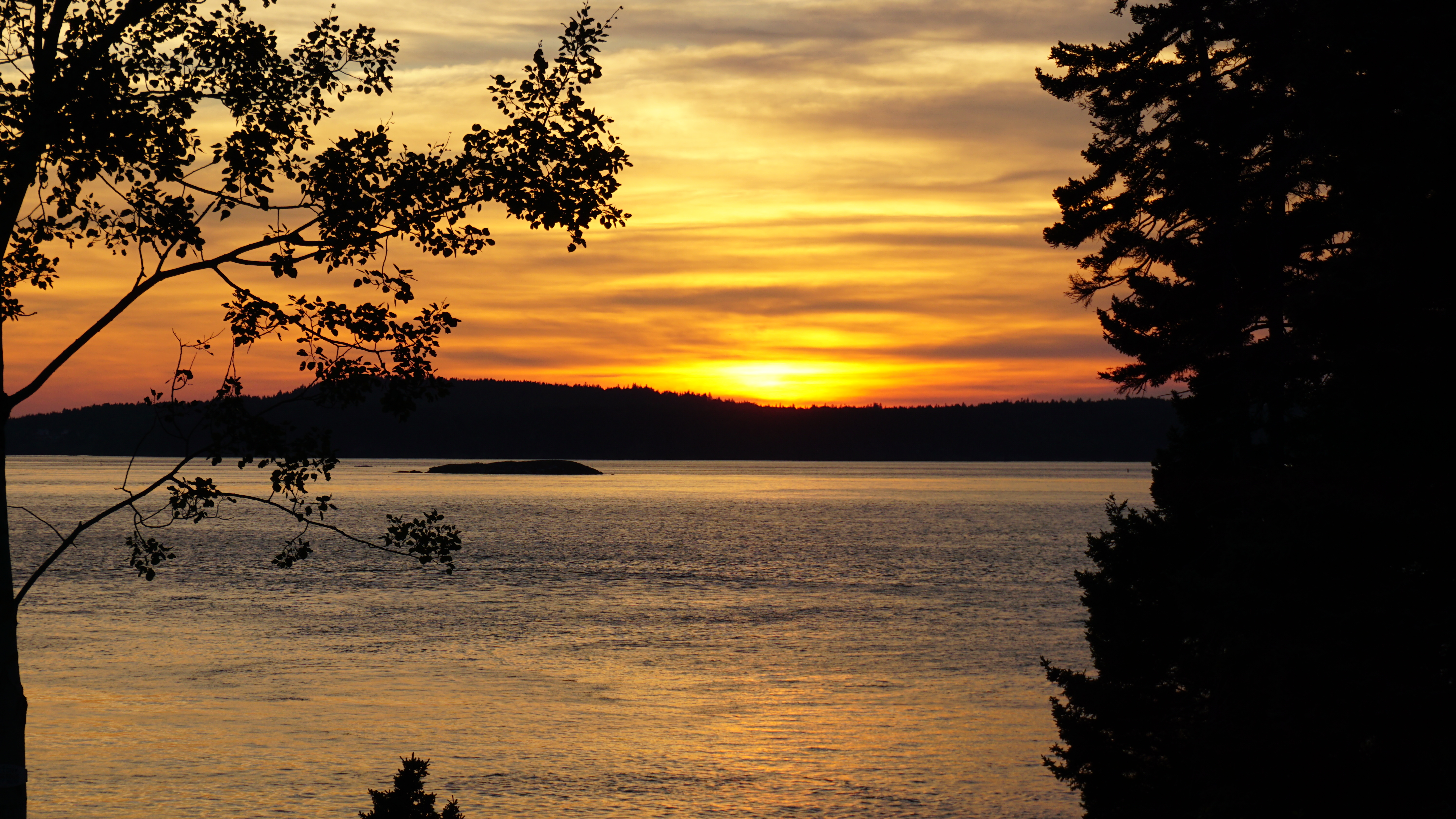 PRIVATE OCEANFRONT Starfish Cottage AMAZING VIEWS